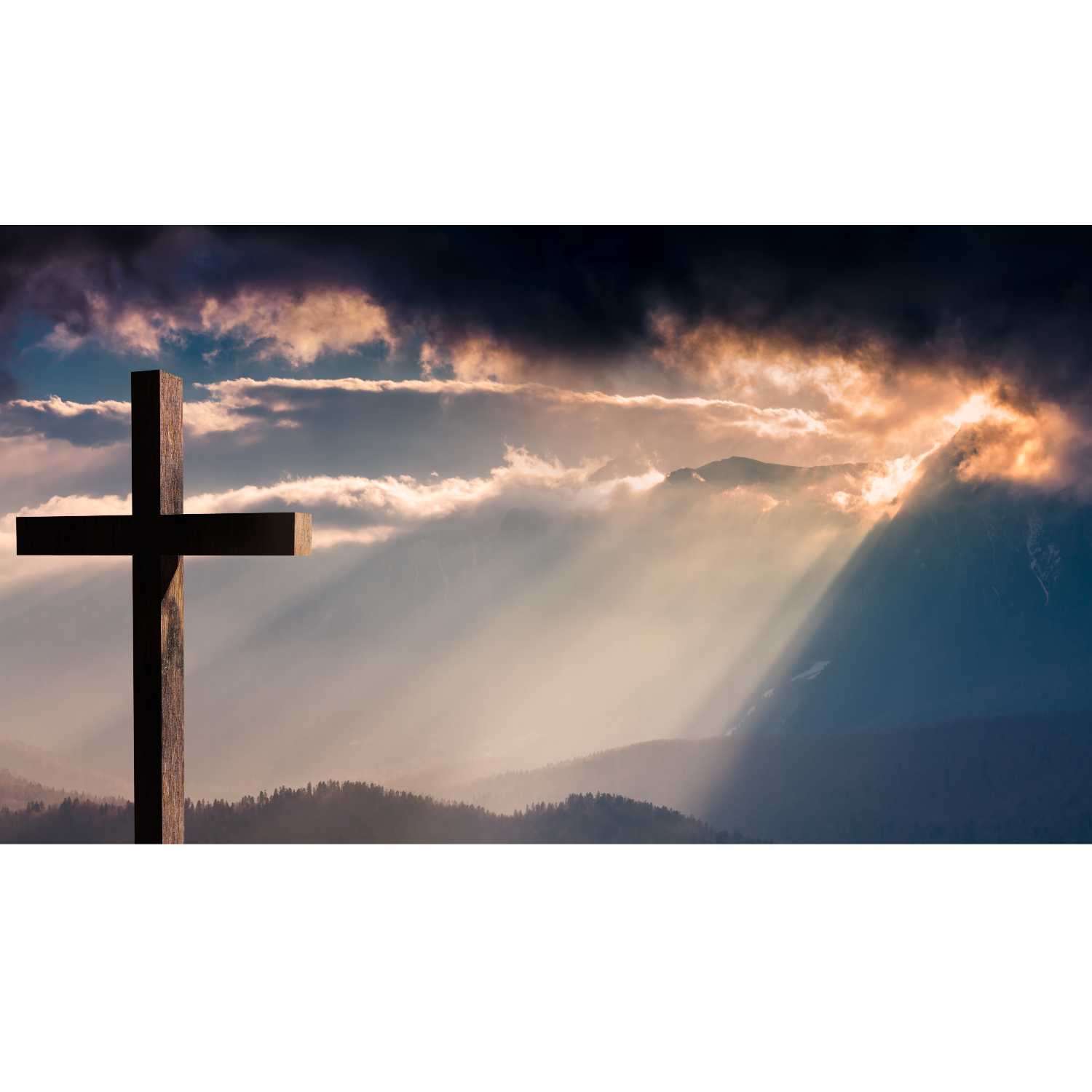 A Saved Wretch