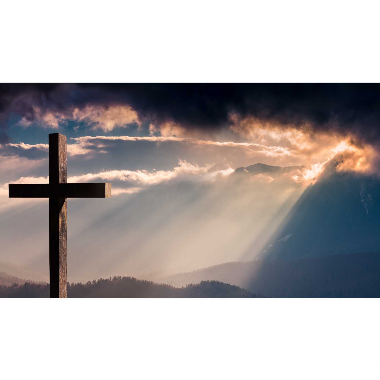 A Saved Wretch