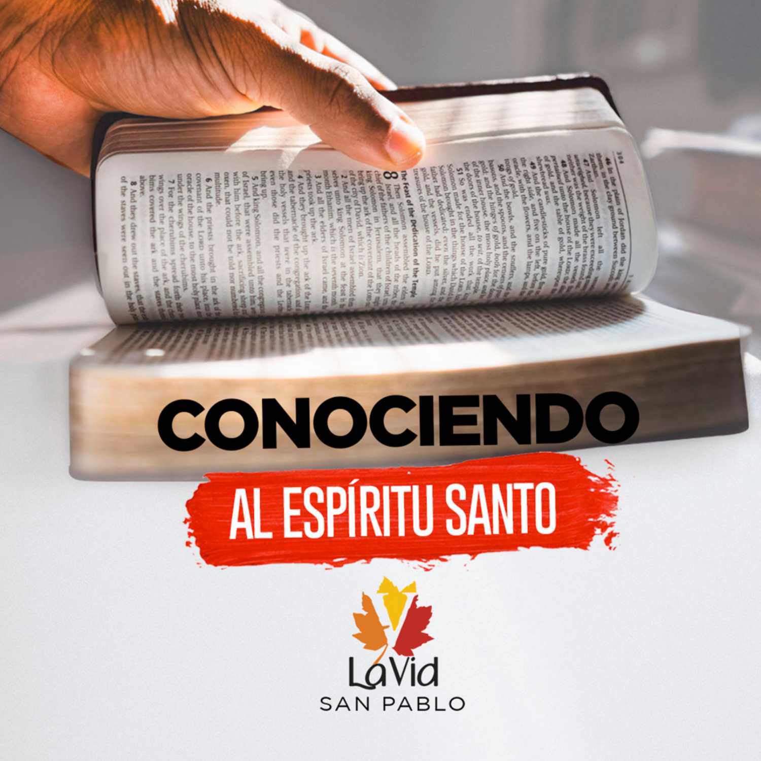 VID SAN PABLO Conferencias