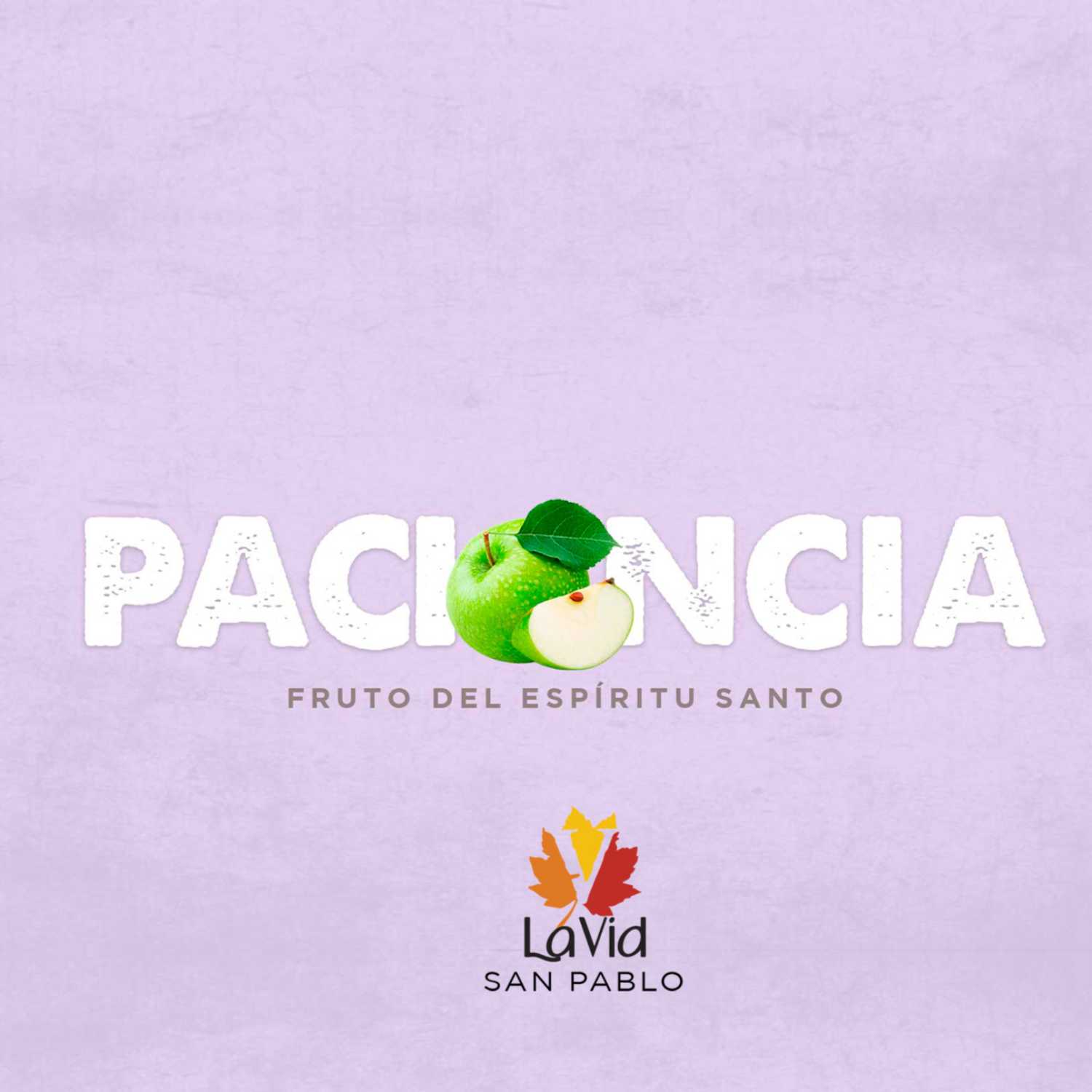 VID SAN PABLO Conferencias