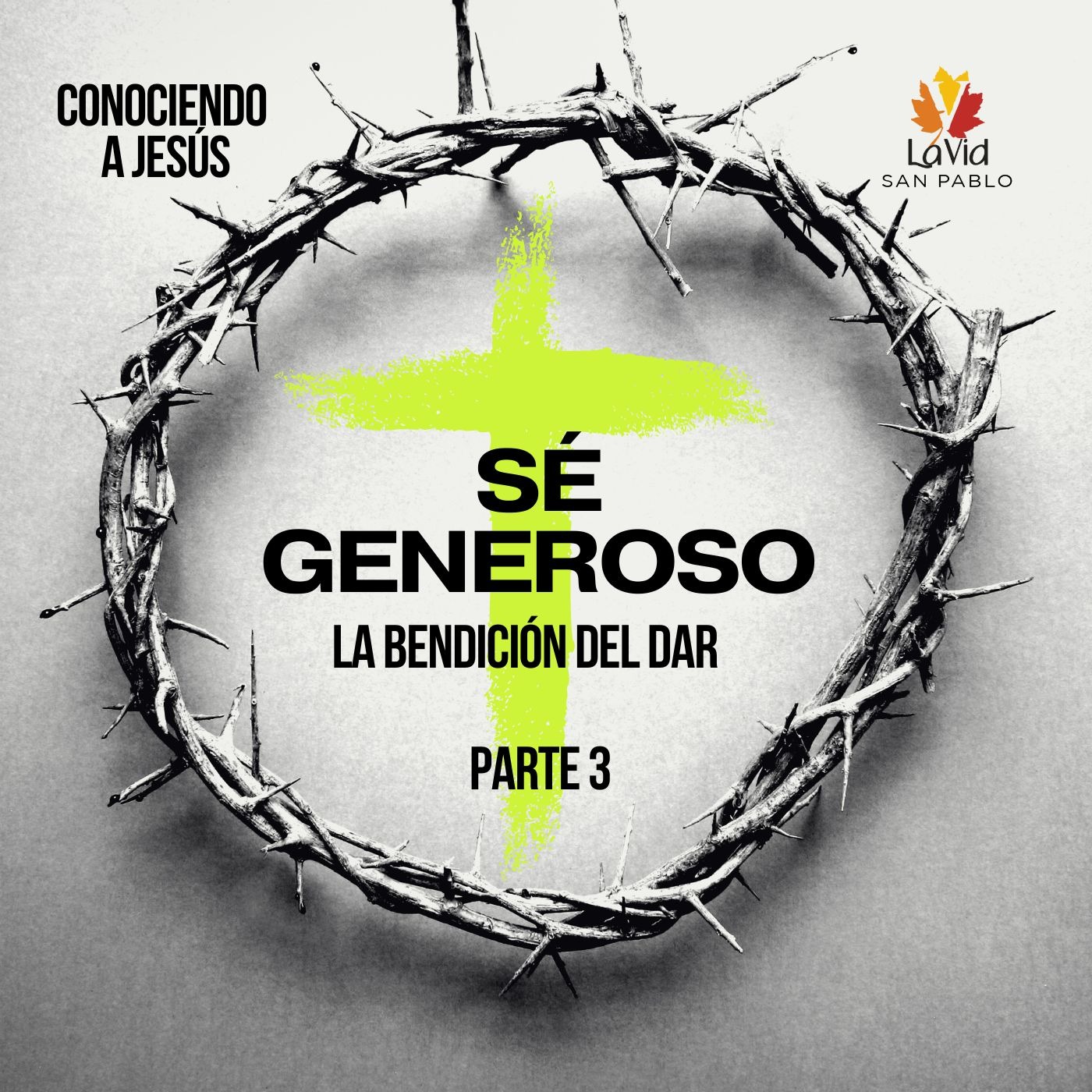 VID SAN PABLO Conferencias