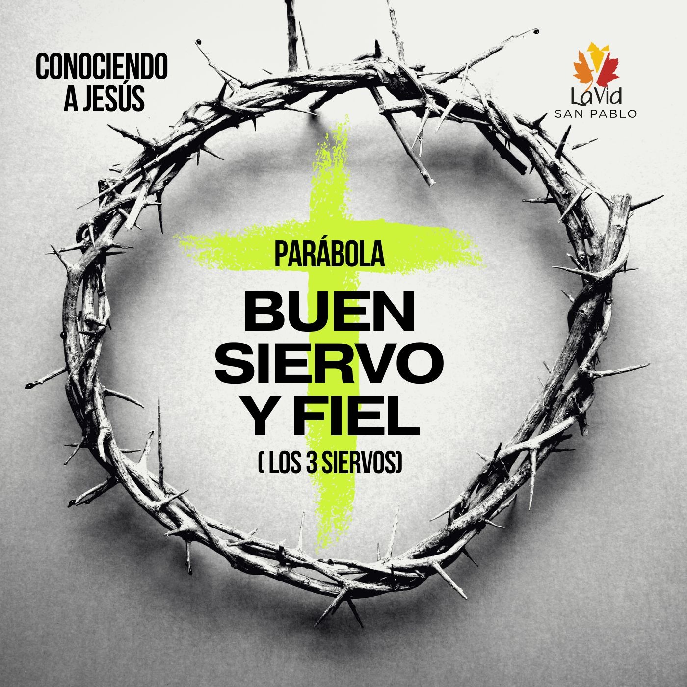 VID SAN PABLO Conferencias