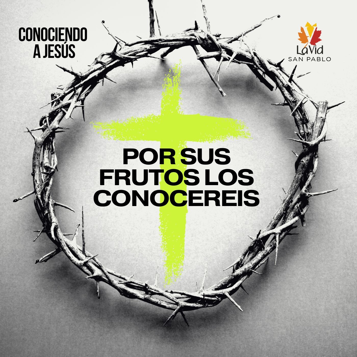 VID SAN PABLO Conferencias