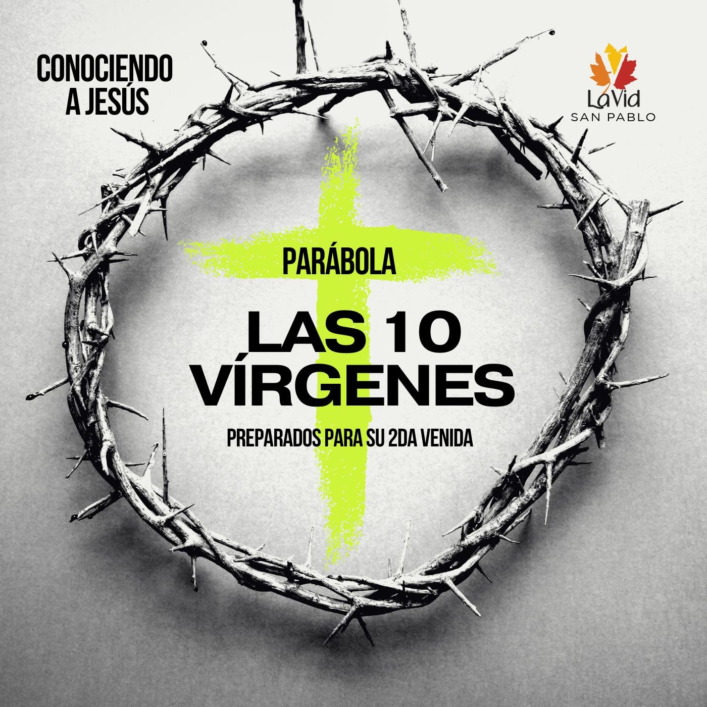VID SAN PABLO Conferencias