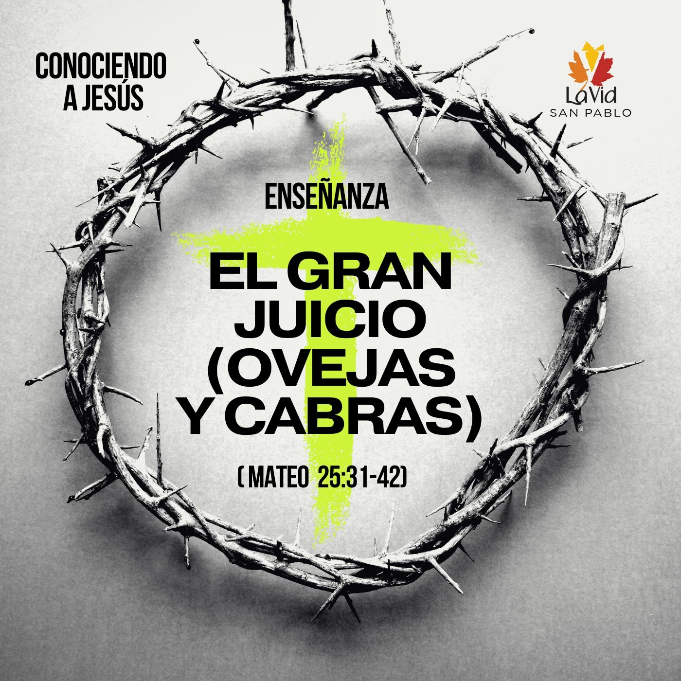 VID SAN PABLO Conferencias
