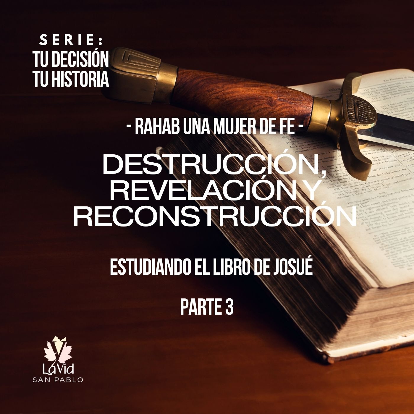 VID SAN PABLO Conferencias