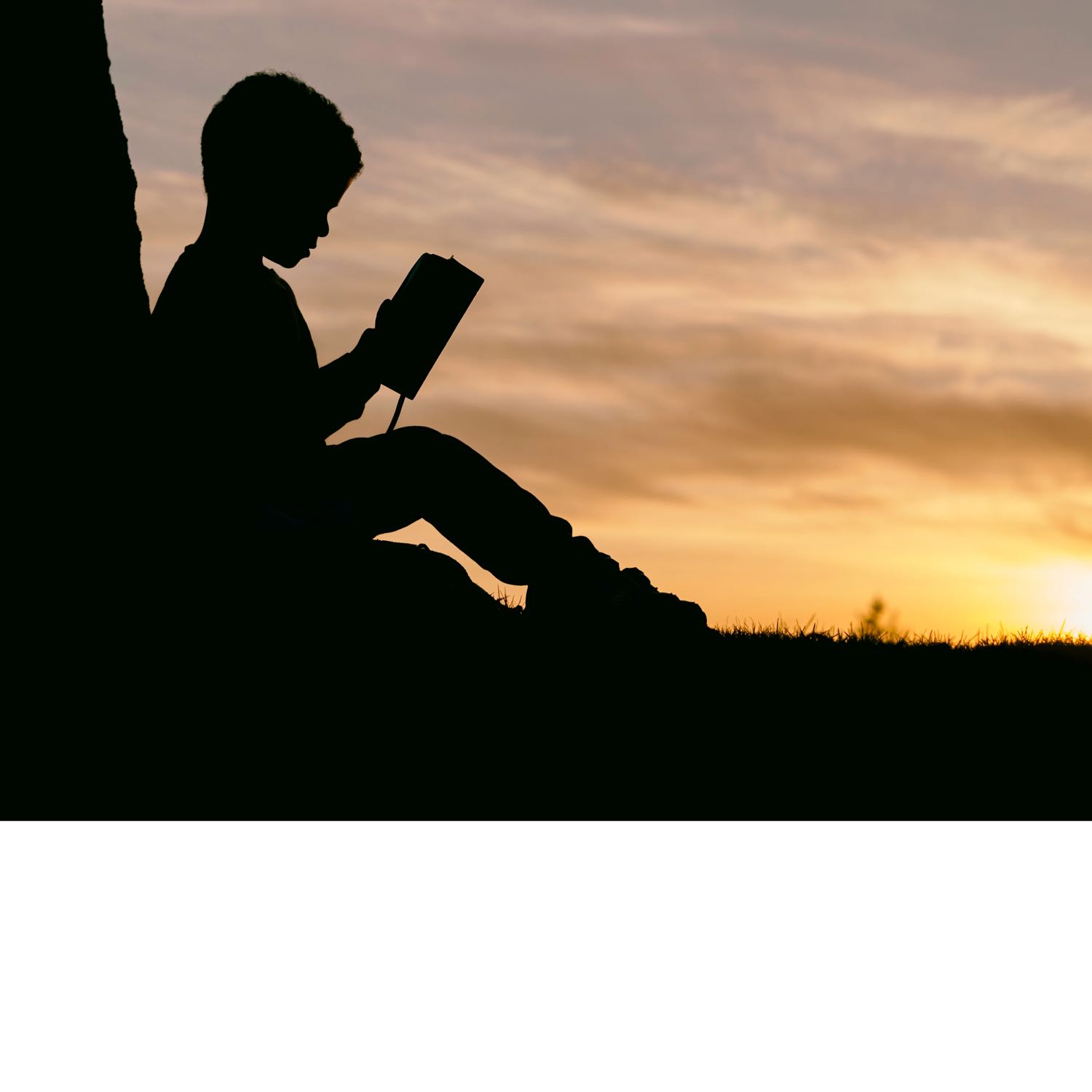 ASLAN International Ministry cover art