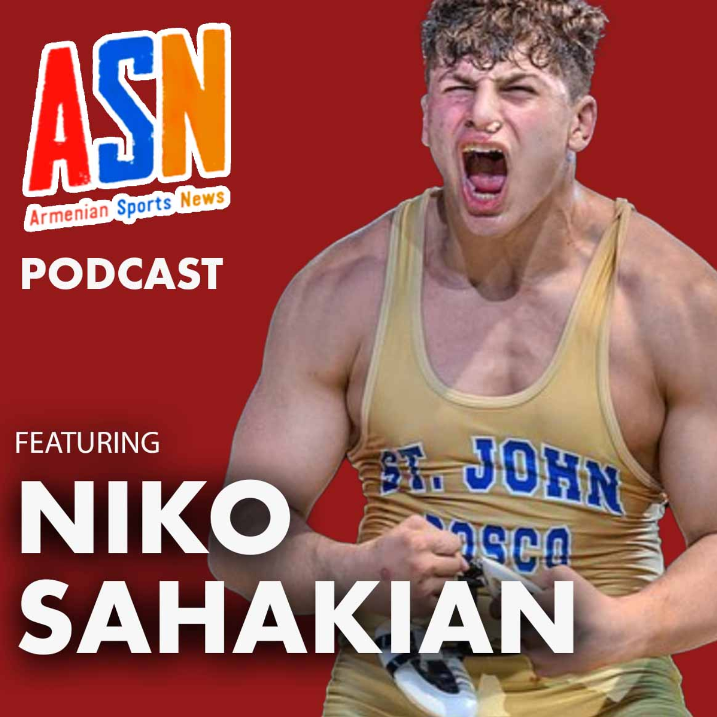 Armenian Sports News Podcast