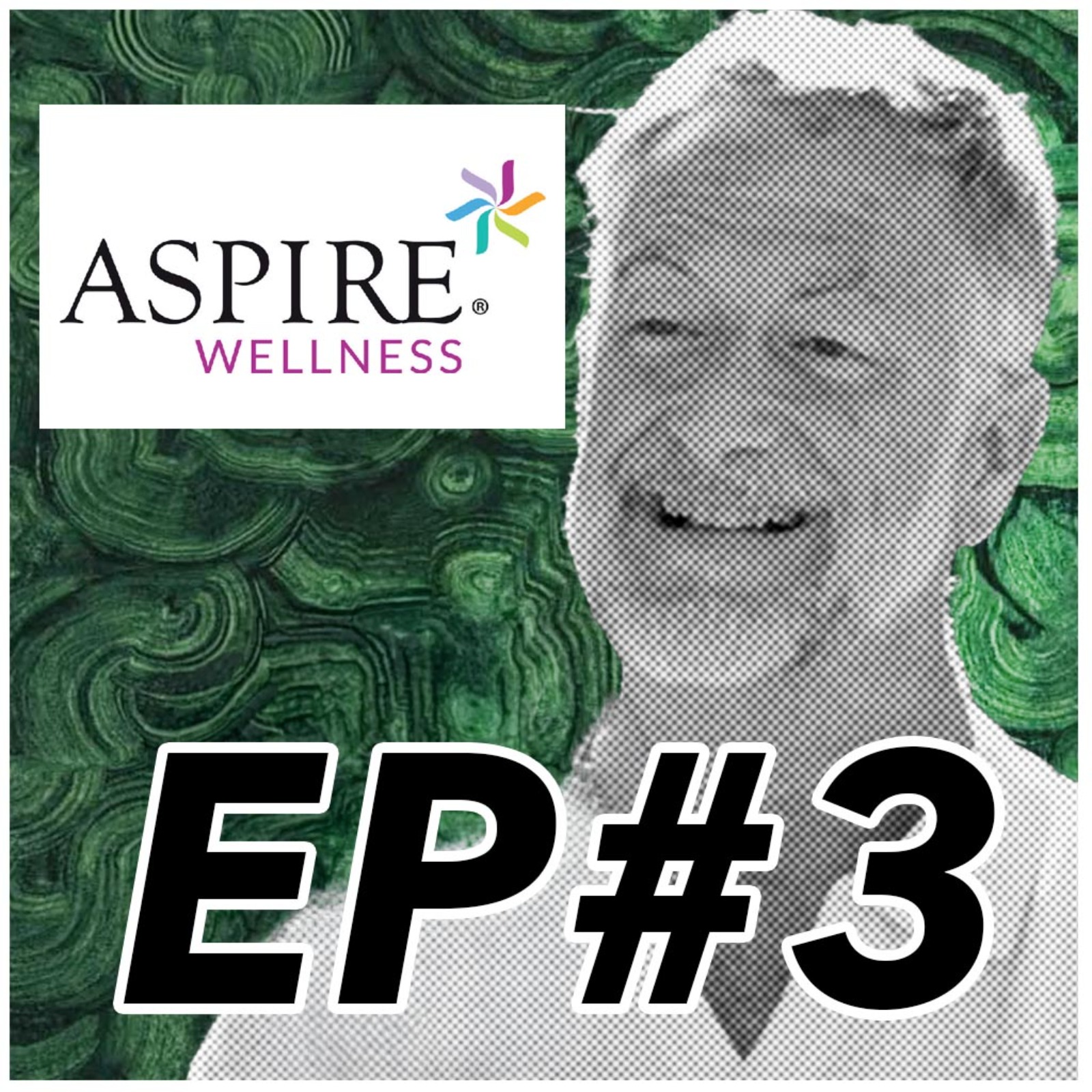 The ASPIRE Wellness Podcast Episode 3: Pittsburgh Botanic Garden