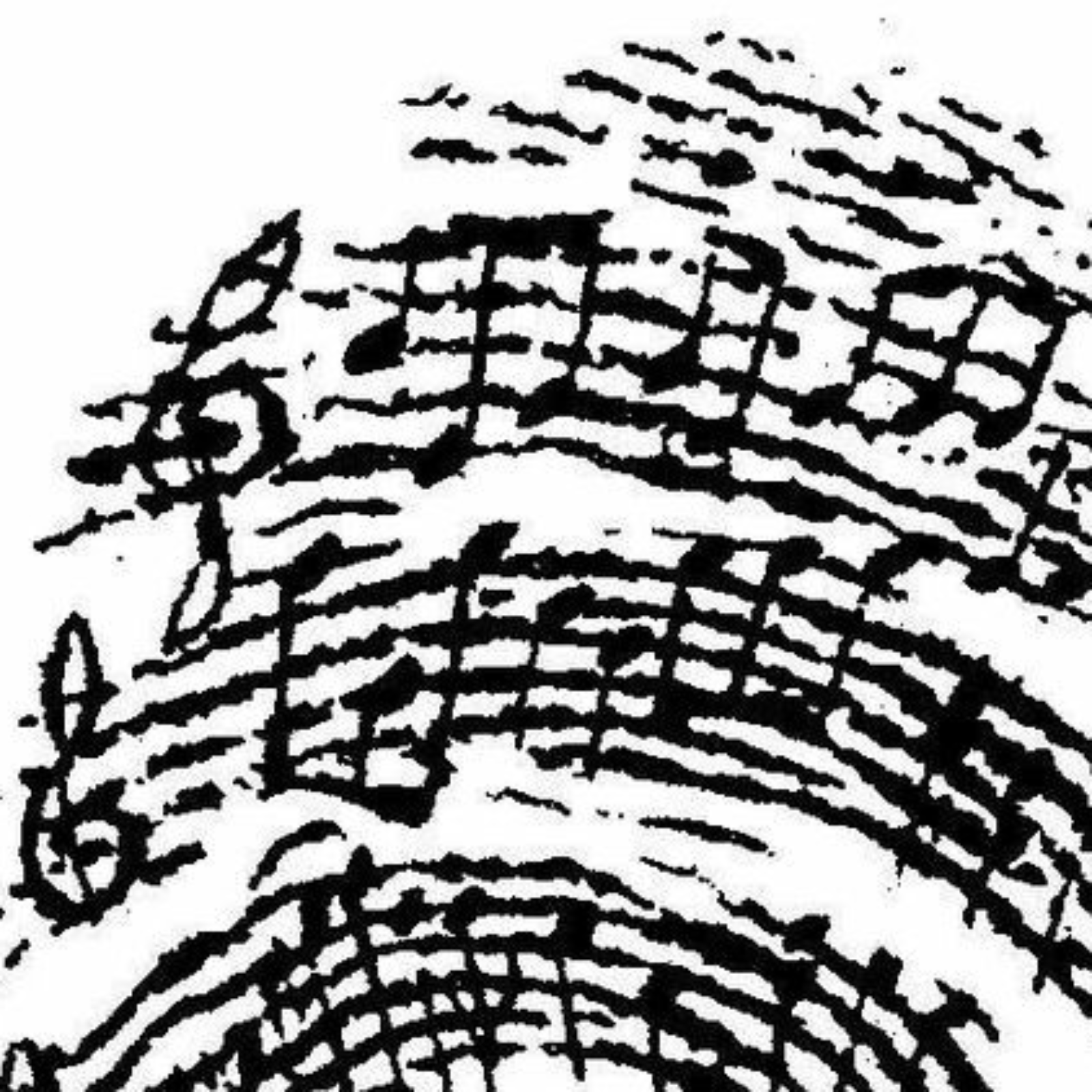 Classical Fingerprints Classical Fingerprints