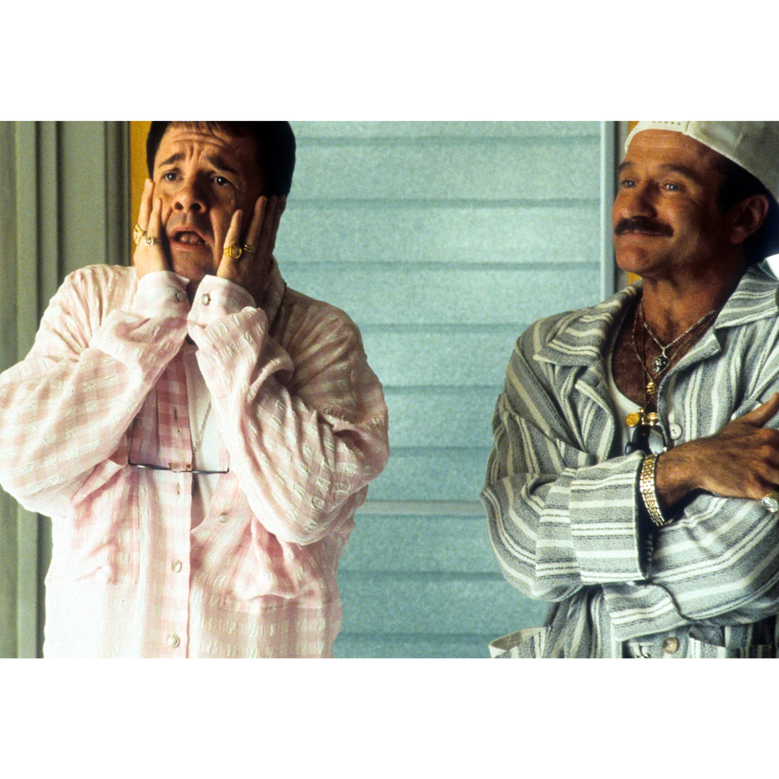 Episode 528: Anniversary Review The Birdcage @ 30 episode artwork
