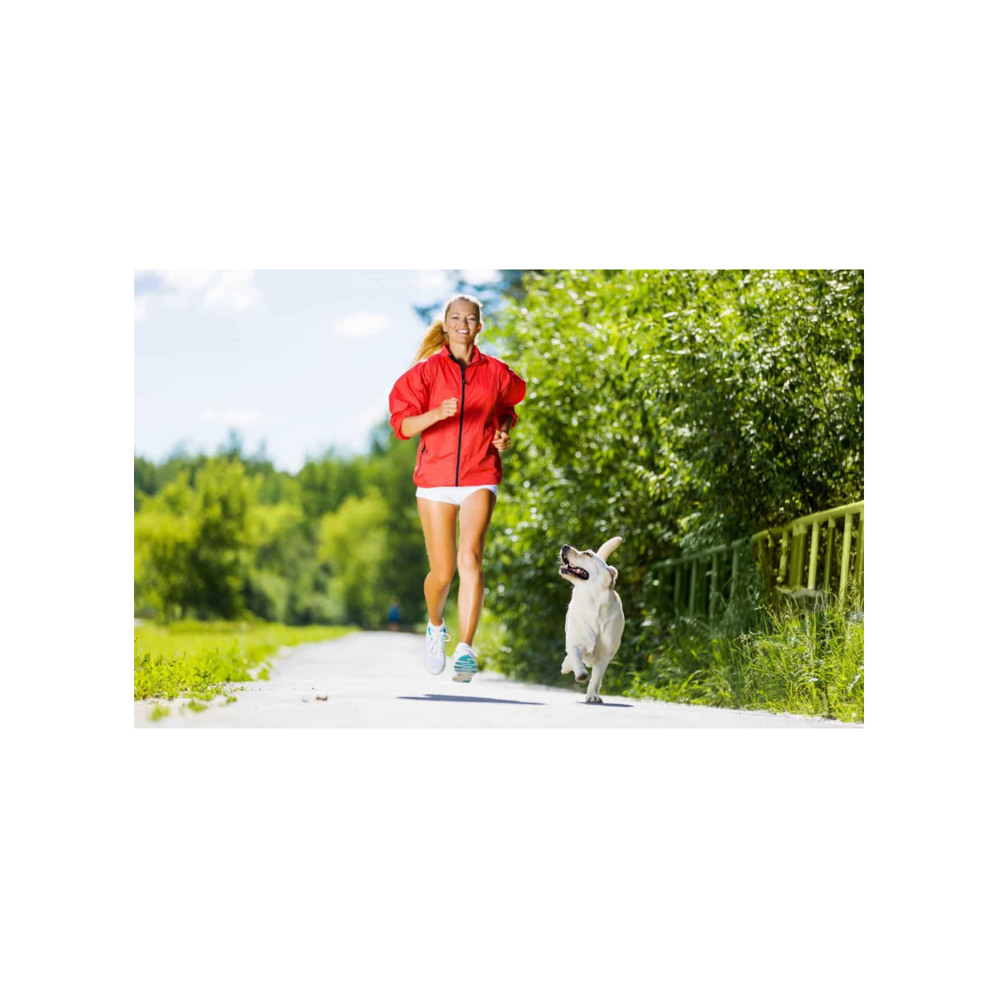 Les 32 meilleures races de chien qui aiment courir episode artwork