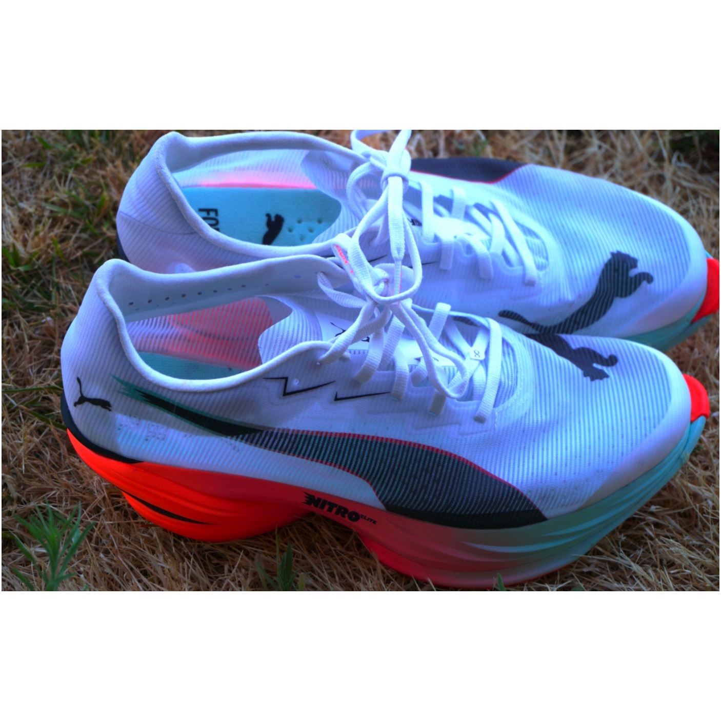 Puma Fast-R Nitro Elite 3 : Test et avis