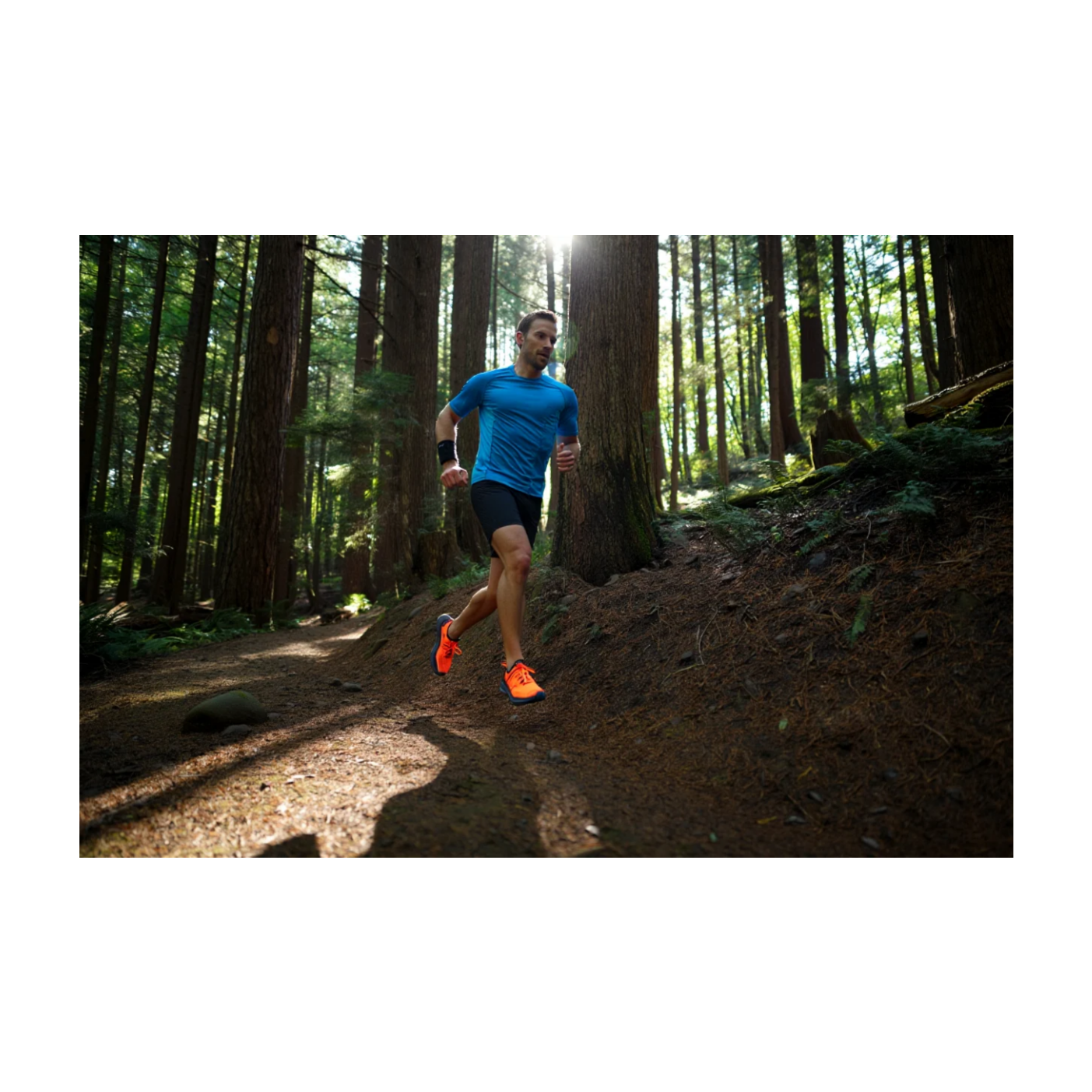 Cote ITRA vs UTMB Index vs Betrail : Comparatif