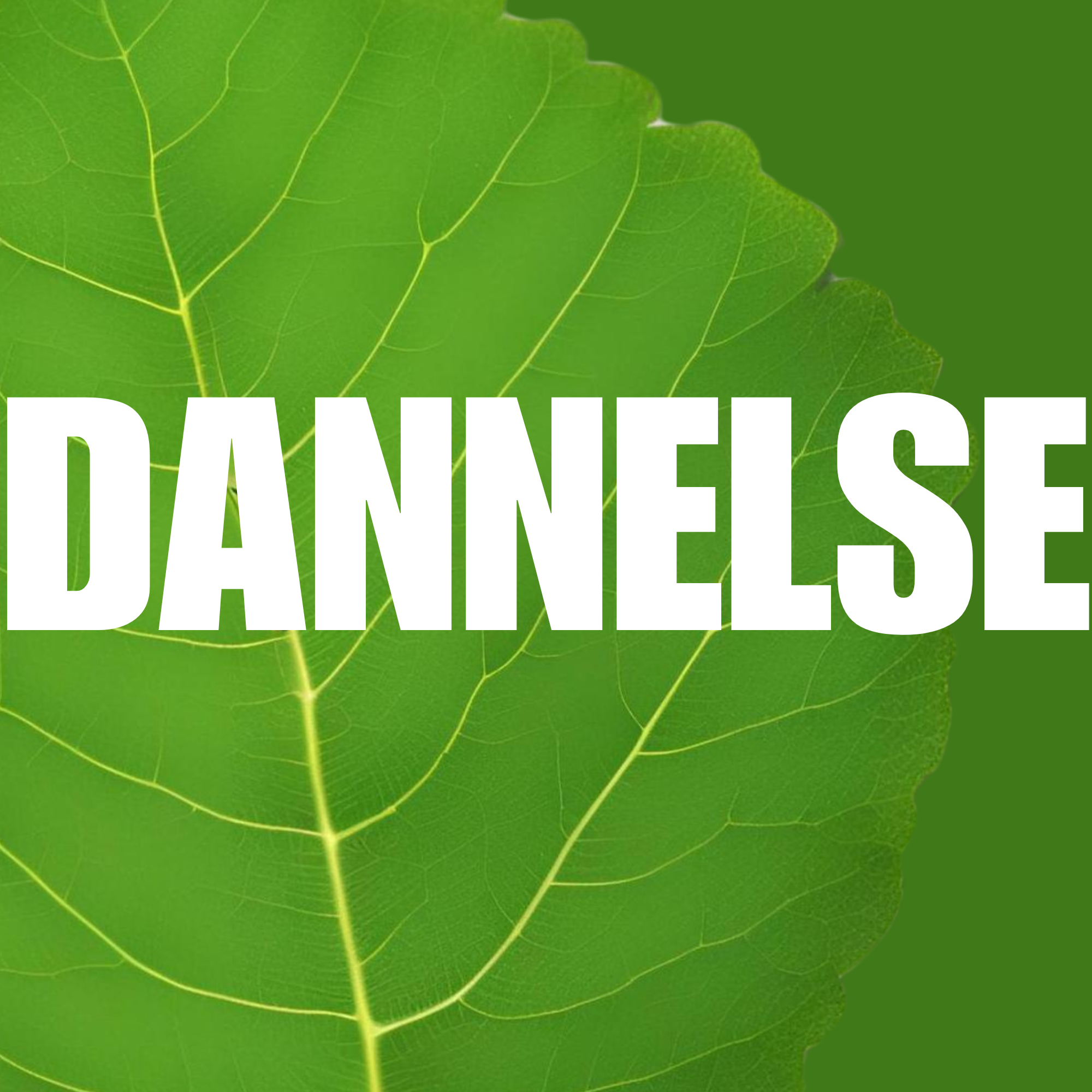 Dannelse