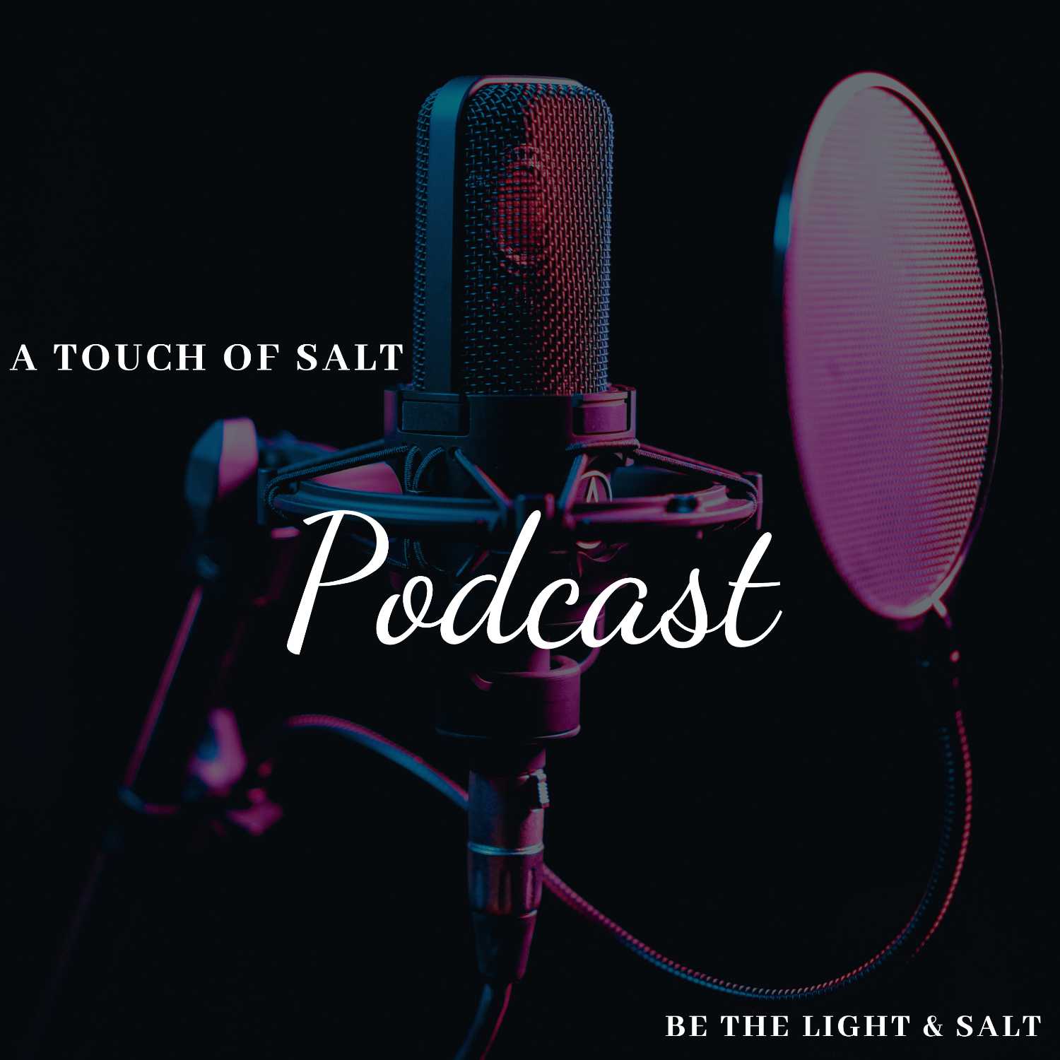 a touch of salt podcast artwork
