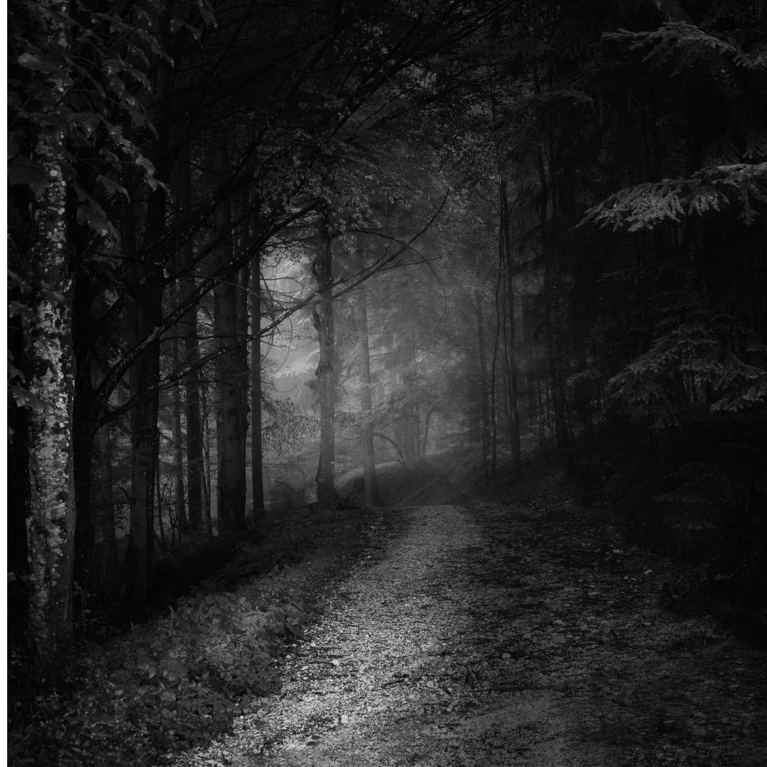 True Crime And A Spooky Old Time