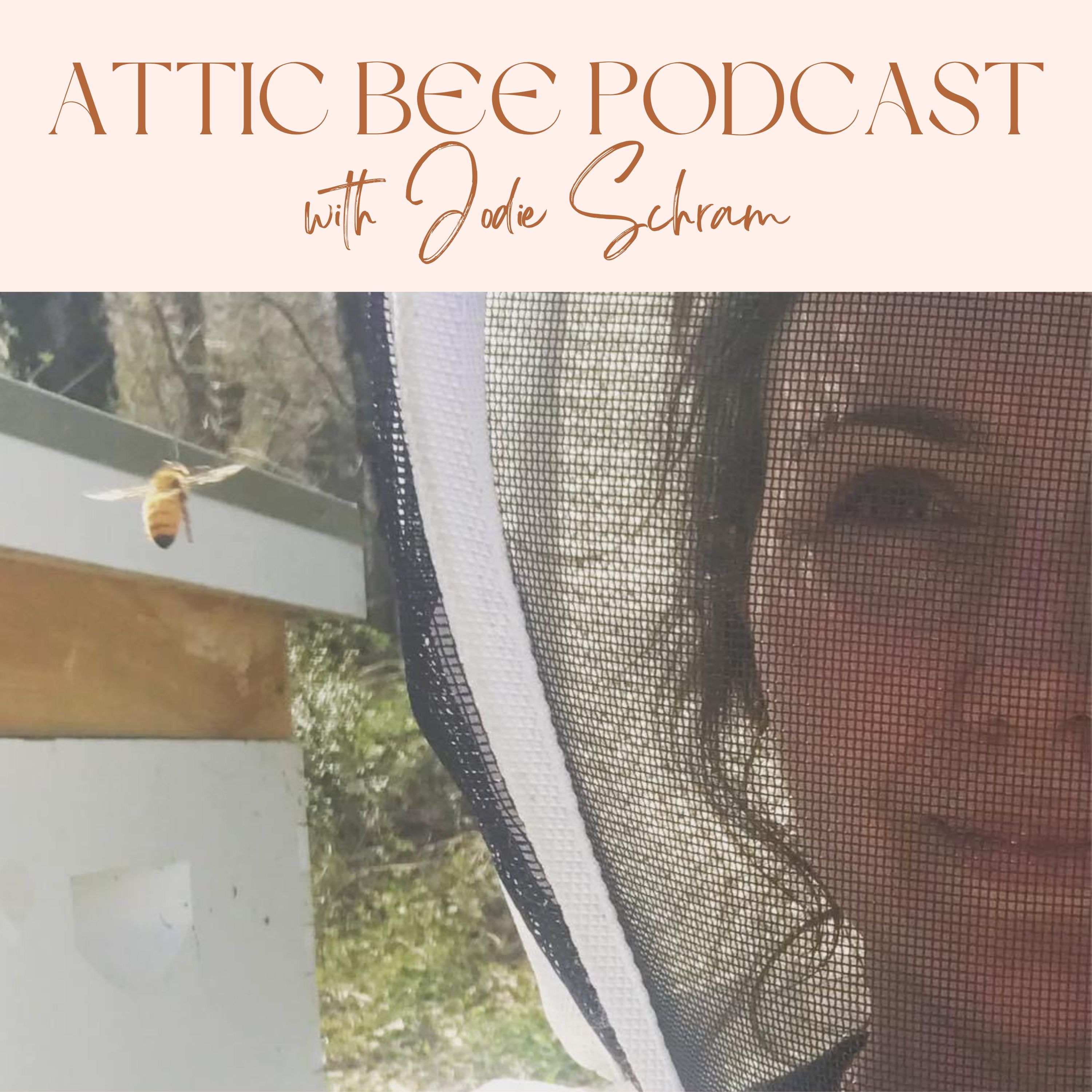 Attic Bee Podcast