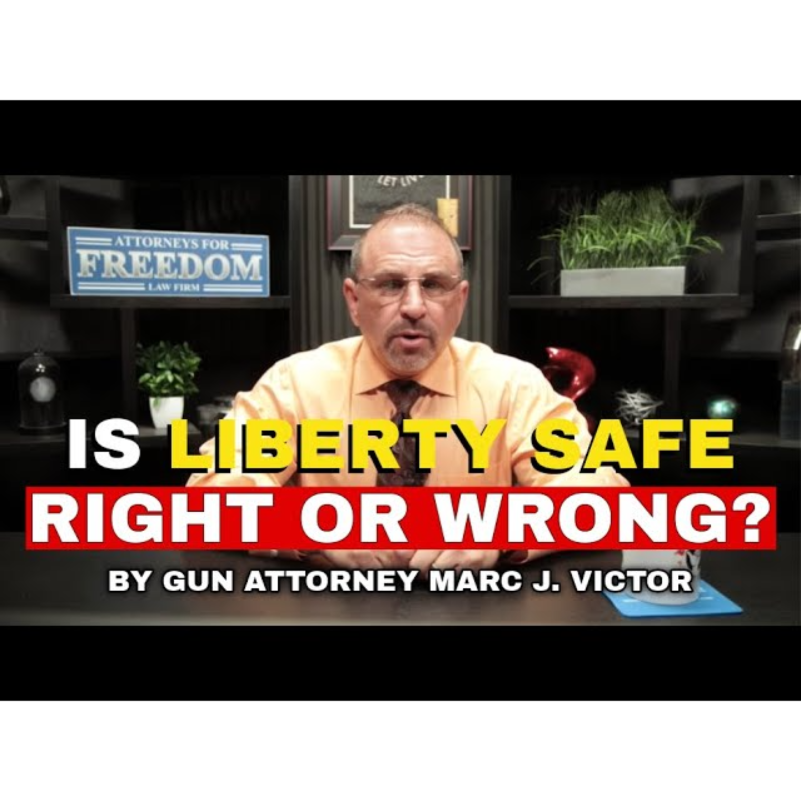 Is Liberty Safe Right Or Wrong - Commentary By Gun Attorney Marc J. Victor