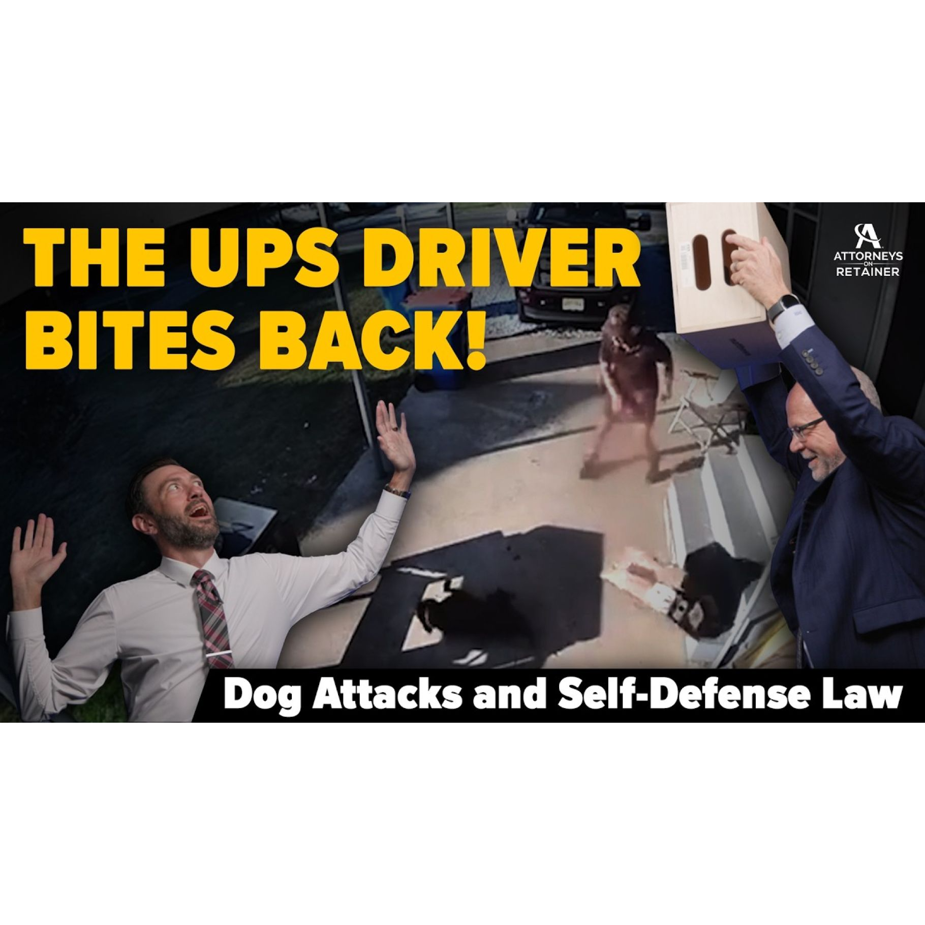 THE UPS DRIVER BITES BACK! Dog Attacks and Self-Defense Law