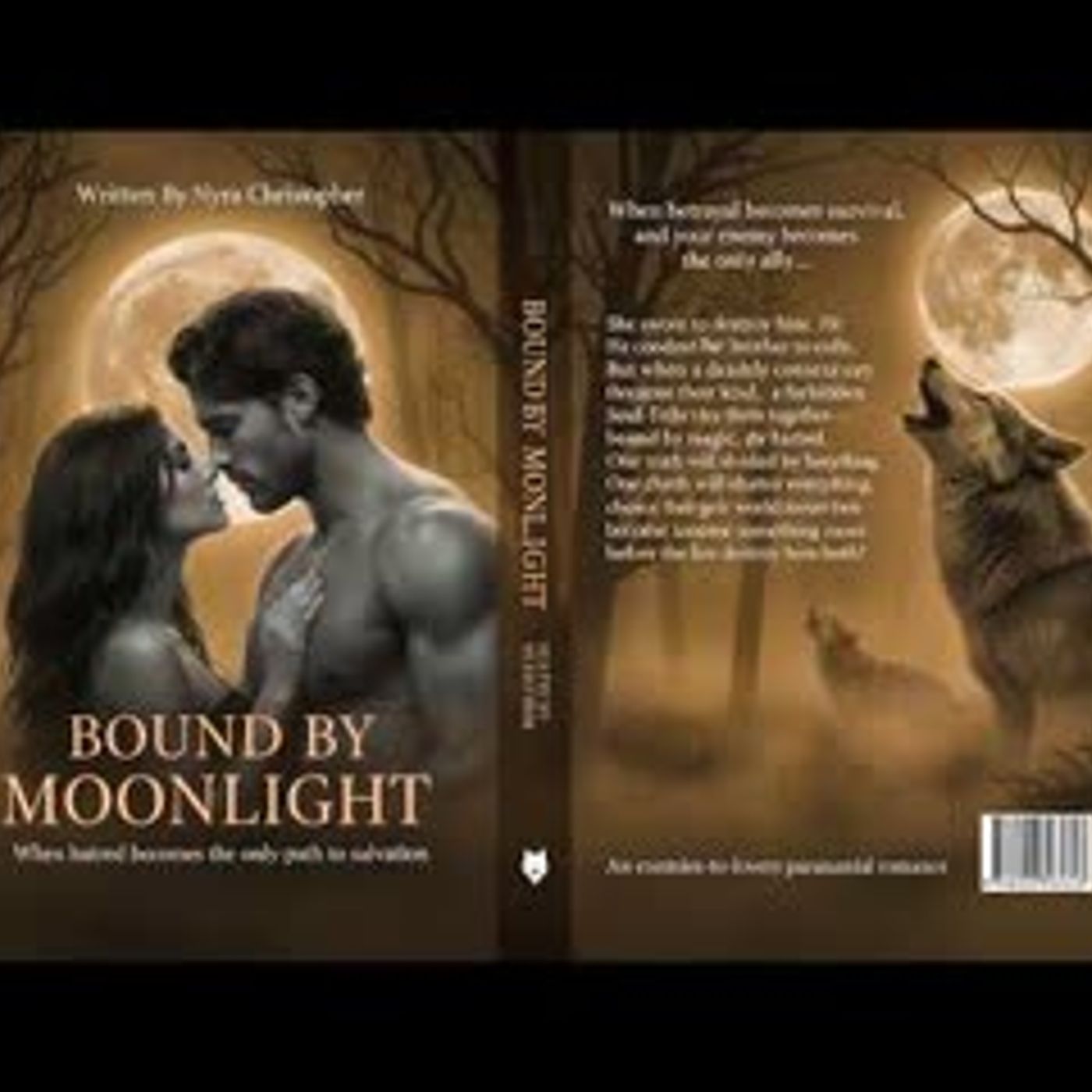 The Alpha Who Hunted Me Is Now My PROTECTOR But He Must..   Werewolf Romance Audiobooks Full Length episode artwork