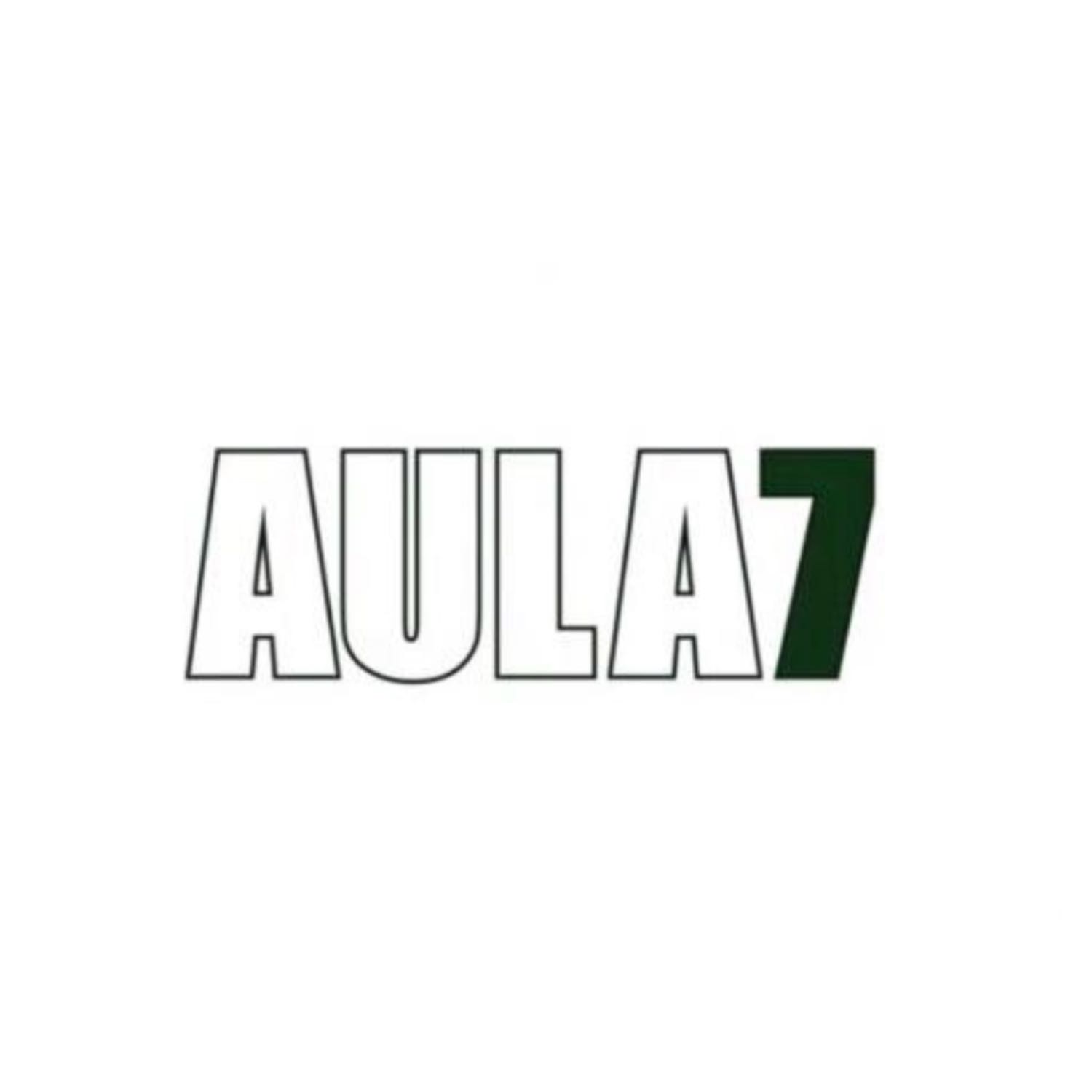 AULA 7 VET