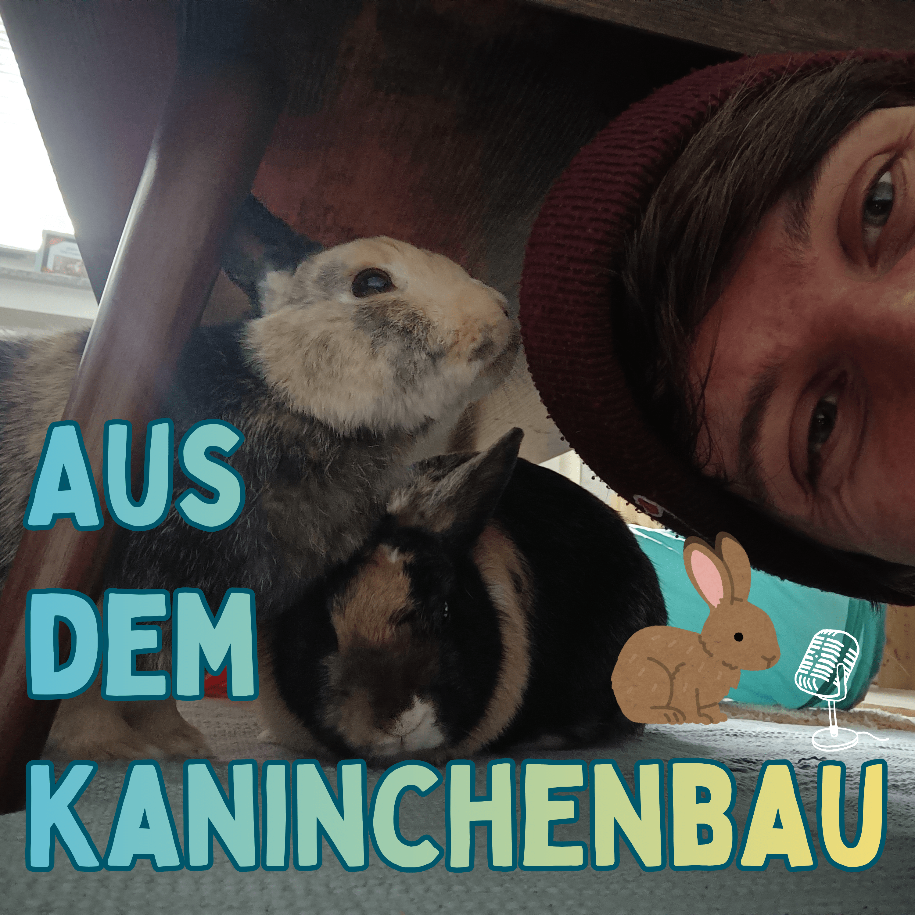 Aus dem Kaninchenbau podcast artwork