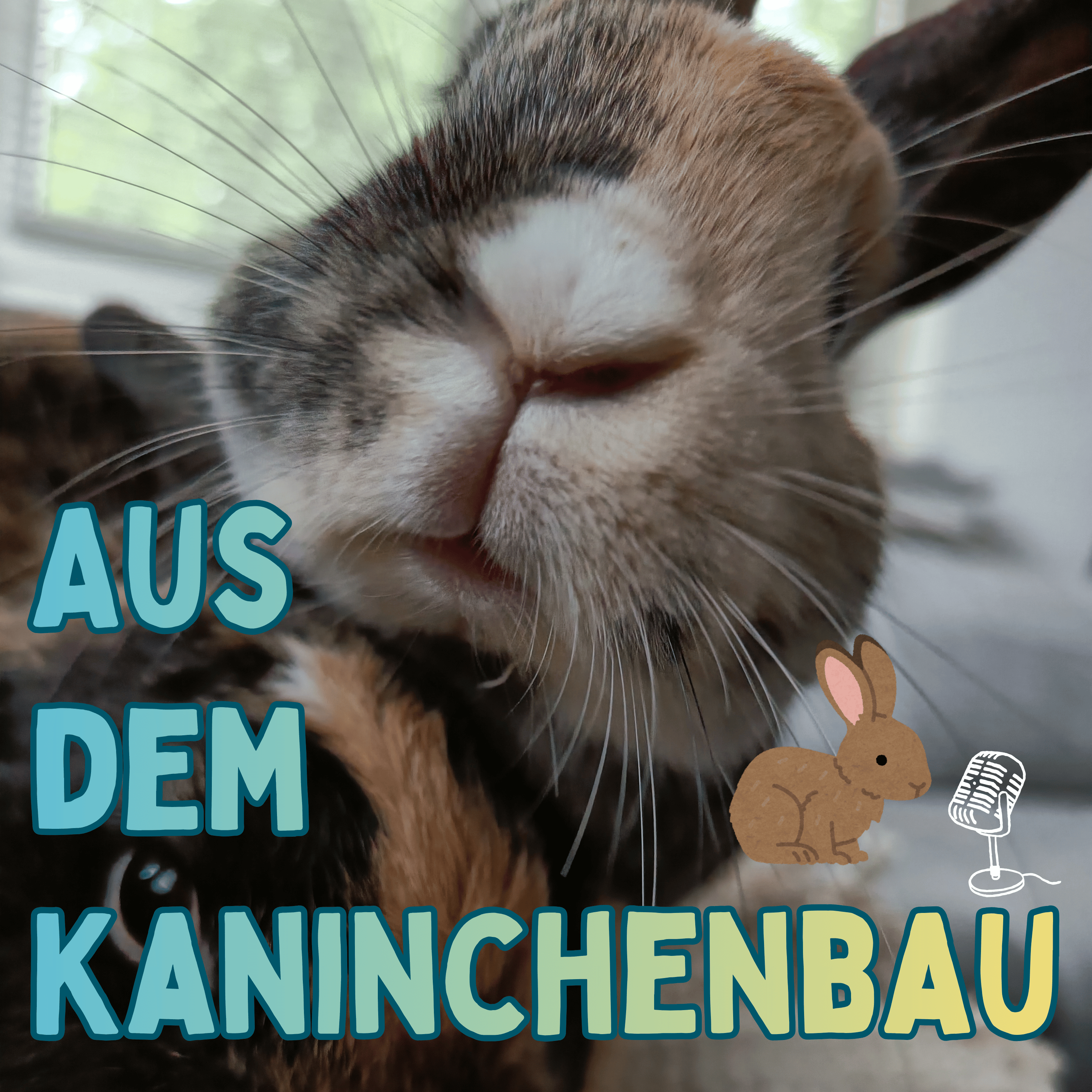 Aus dem Kaninchenbau