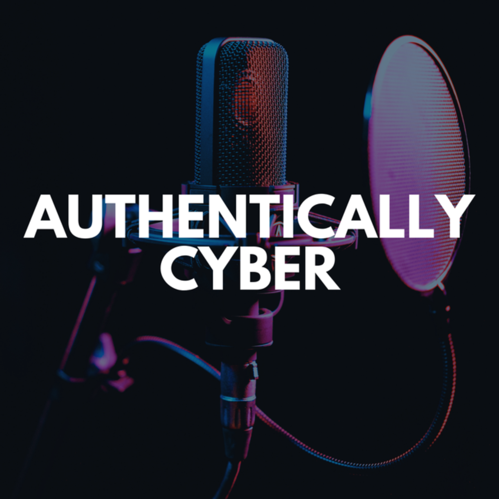 From Army to CEO: Building a Cybersecurity Company episode artwork