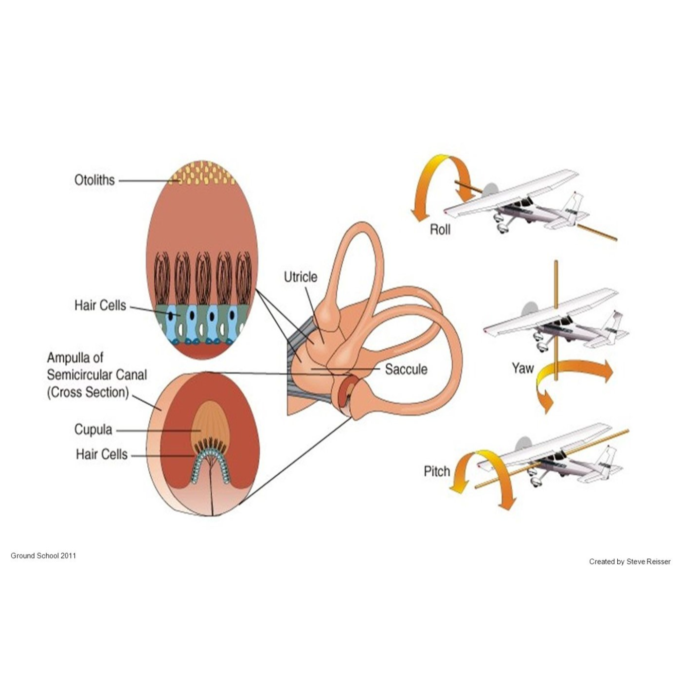 Aeromedical Factors