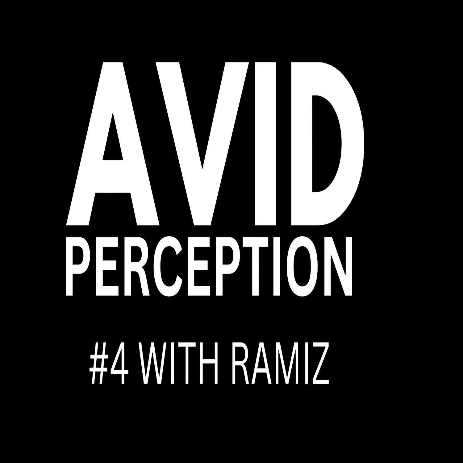 #4 - AVID PERCEPTION WITH RAMIZ