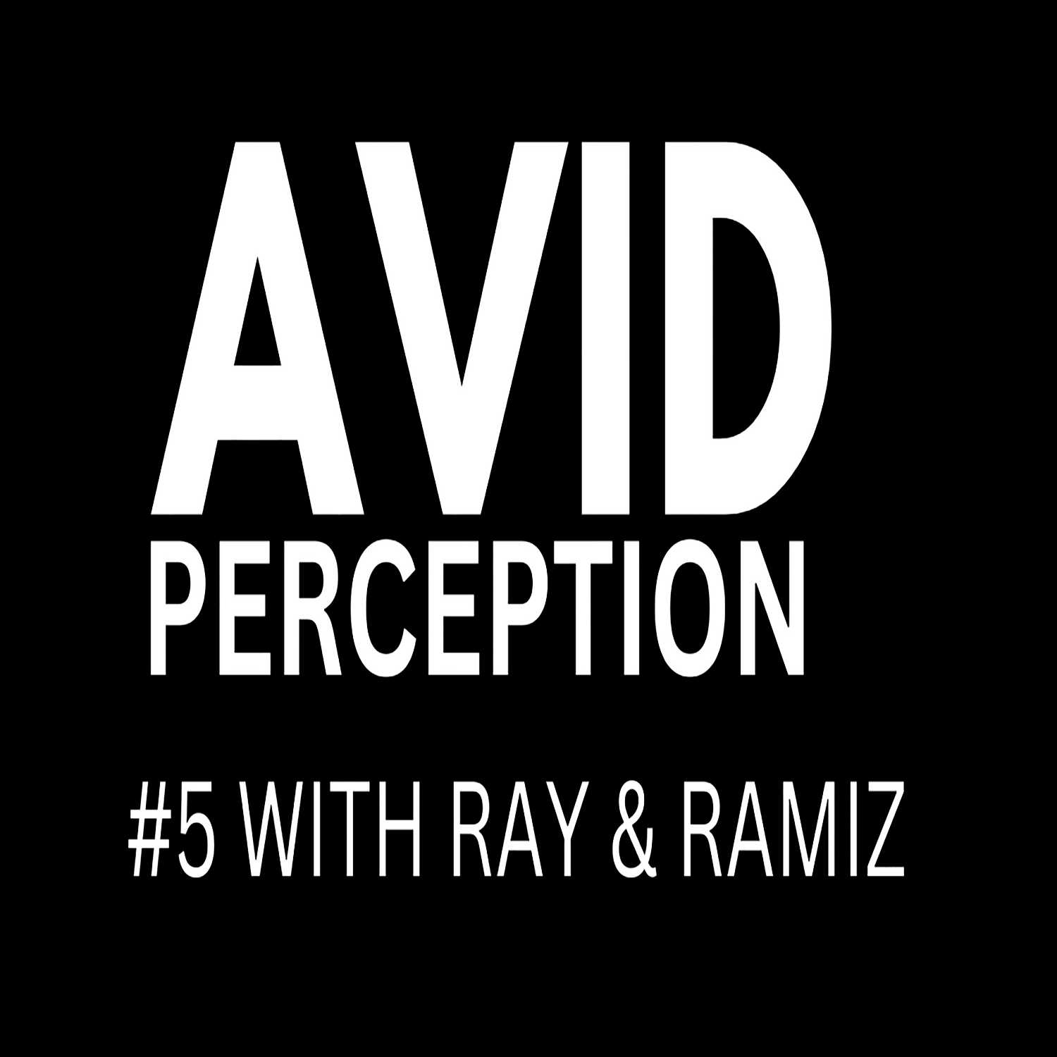 #5 - AVID PERCEPTION WITH RAY & RAMIZ