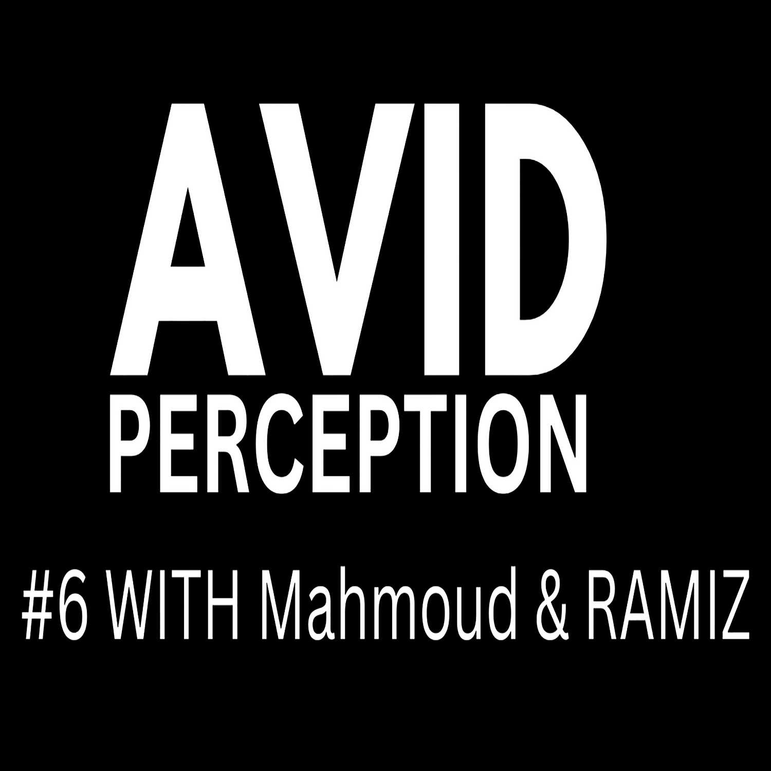 #6 - AVID PERCEPTION WITH Mahmoud & RAMIZ