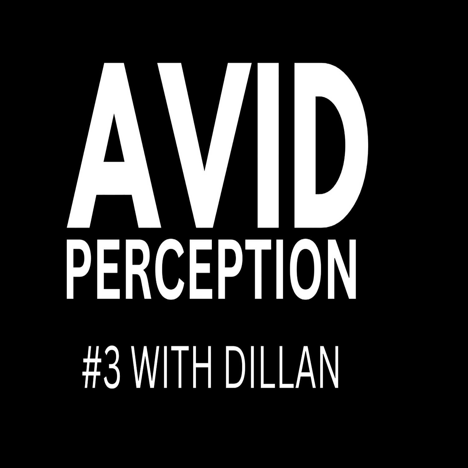 #3 - AVID PERCEPTION WITH DILLAN
