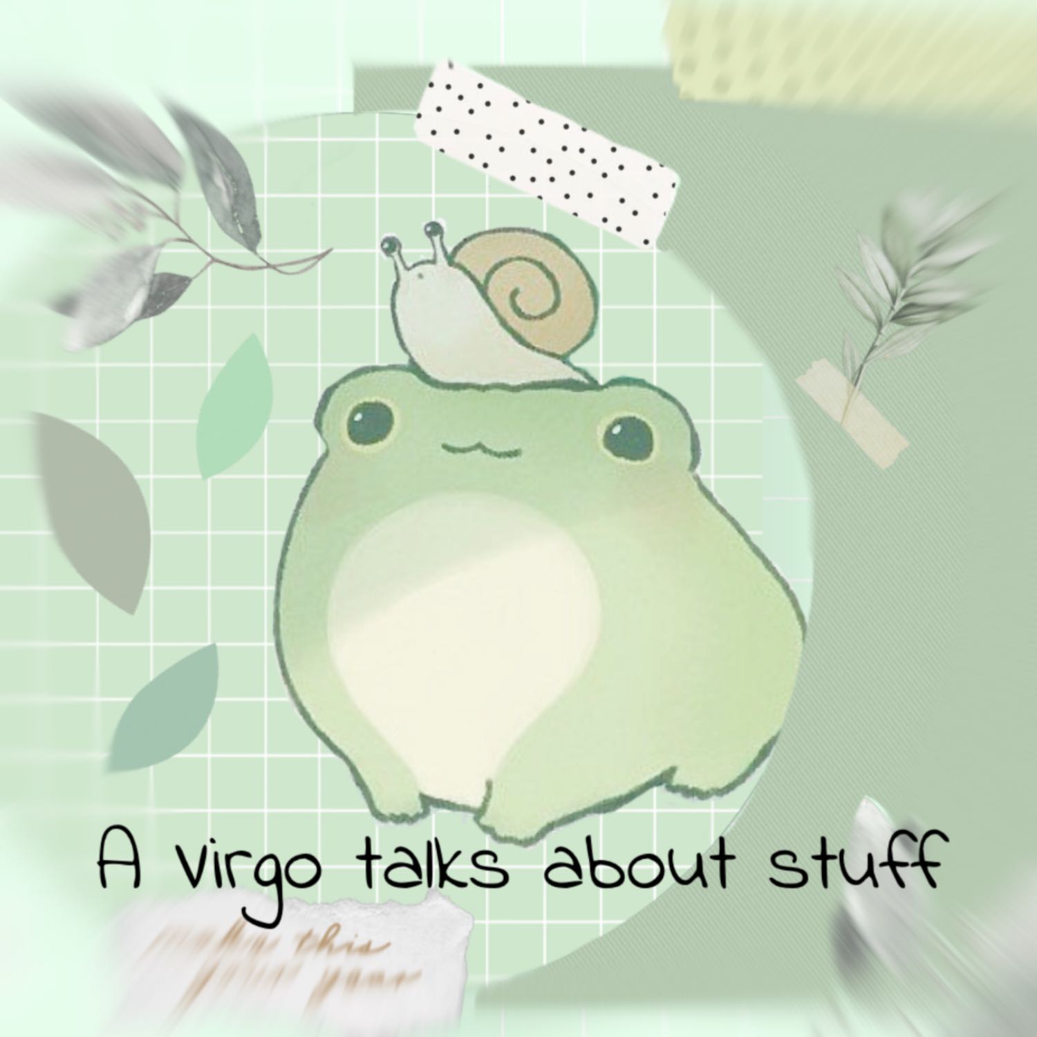A Virgo talks about stuff cover art
