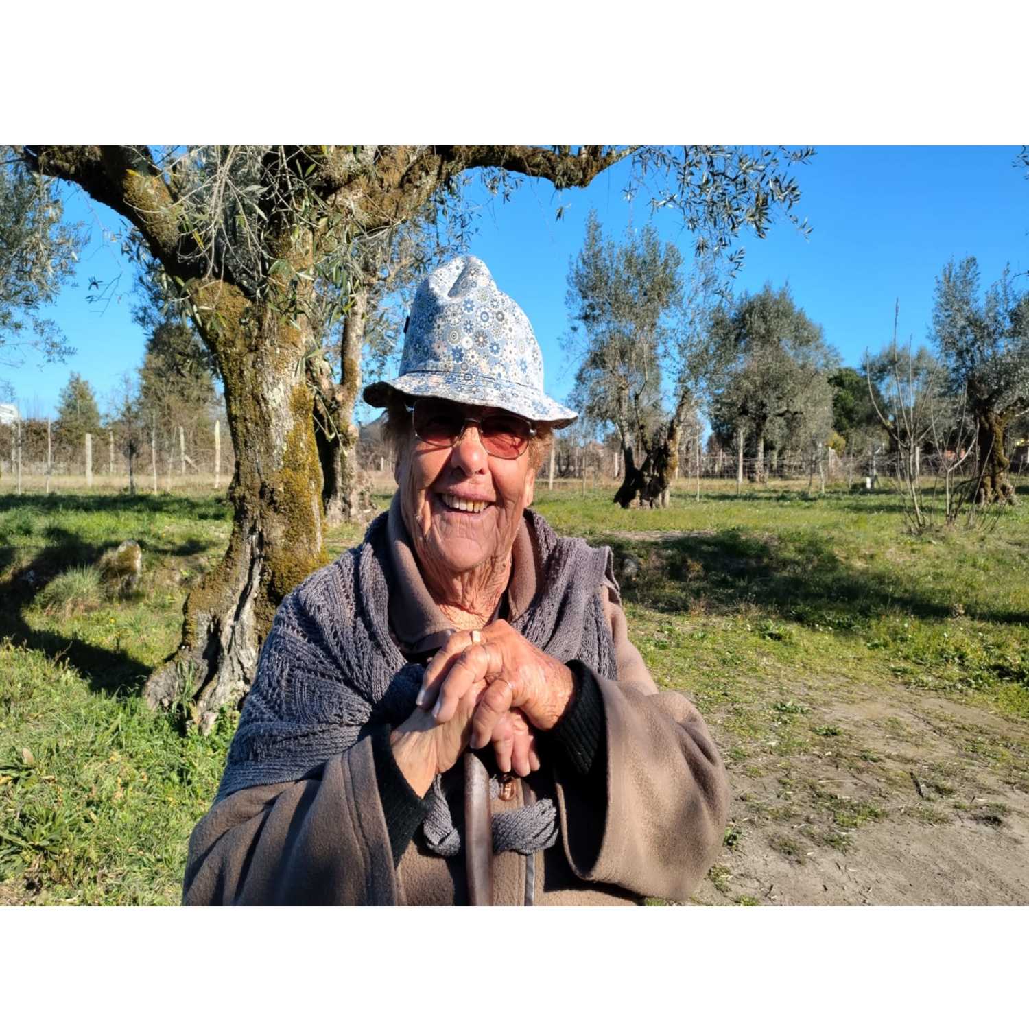 Avós de Canas