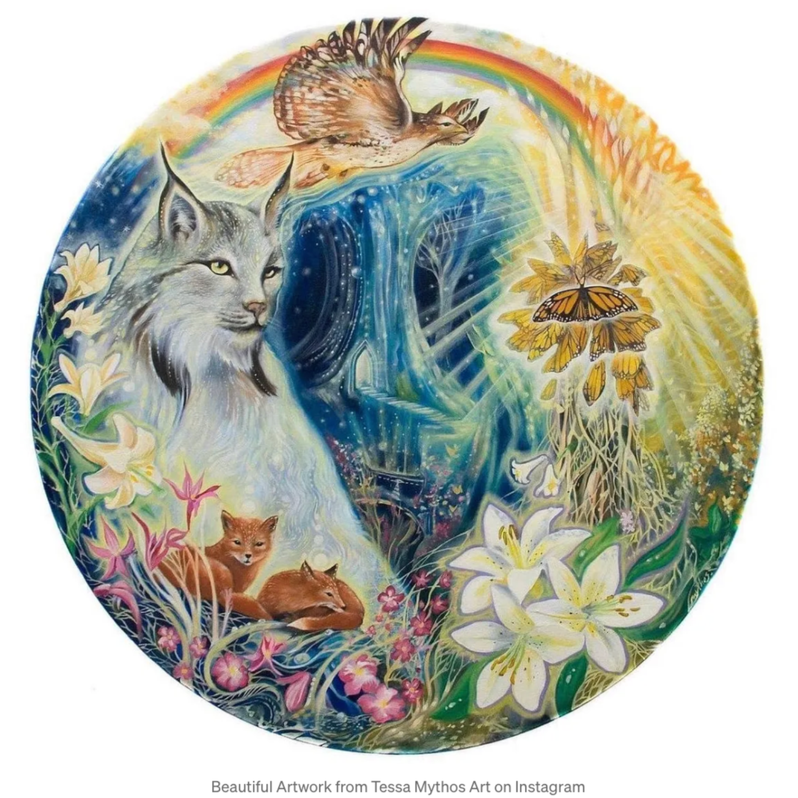 Where We Come From _ A Poem episode artwork