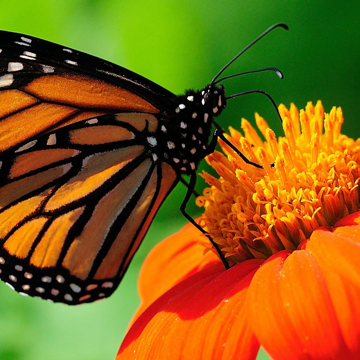 La alfabetización digital