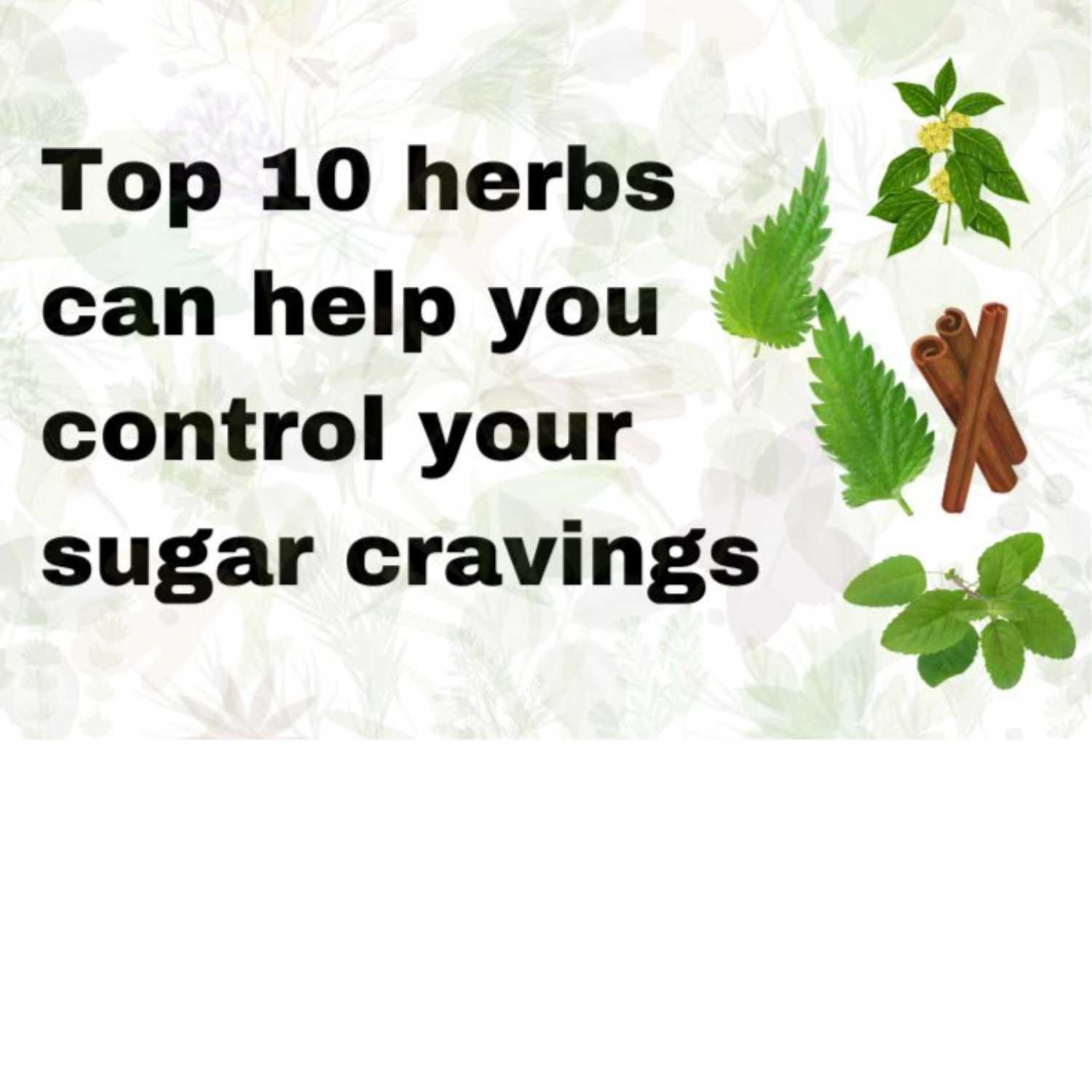 Diabetes: These 10 Herbs Can Help Reduce Sugar Cravings podcast artwork