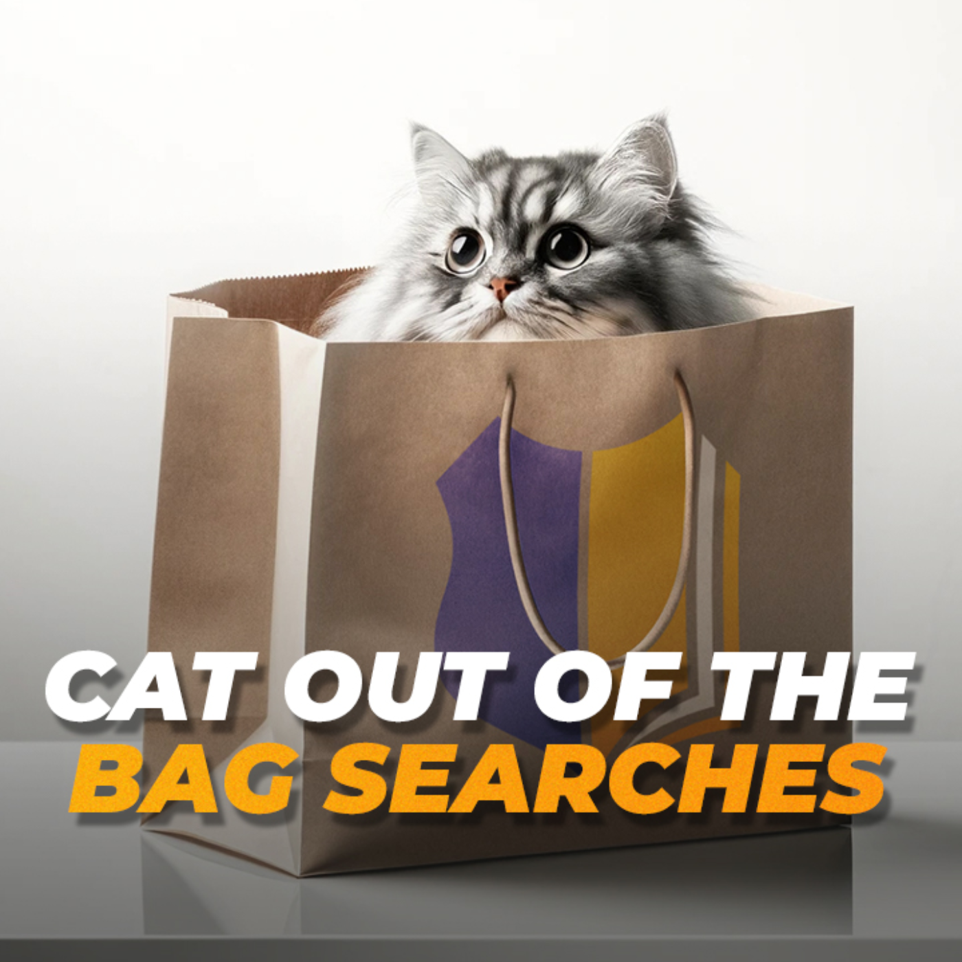 The Search & Seizure Show