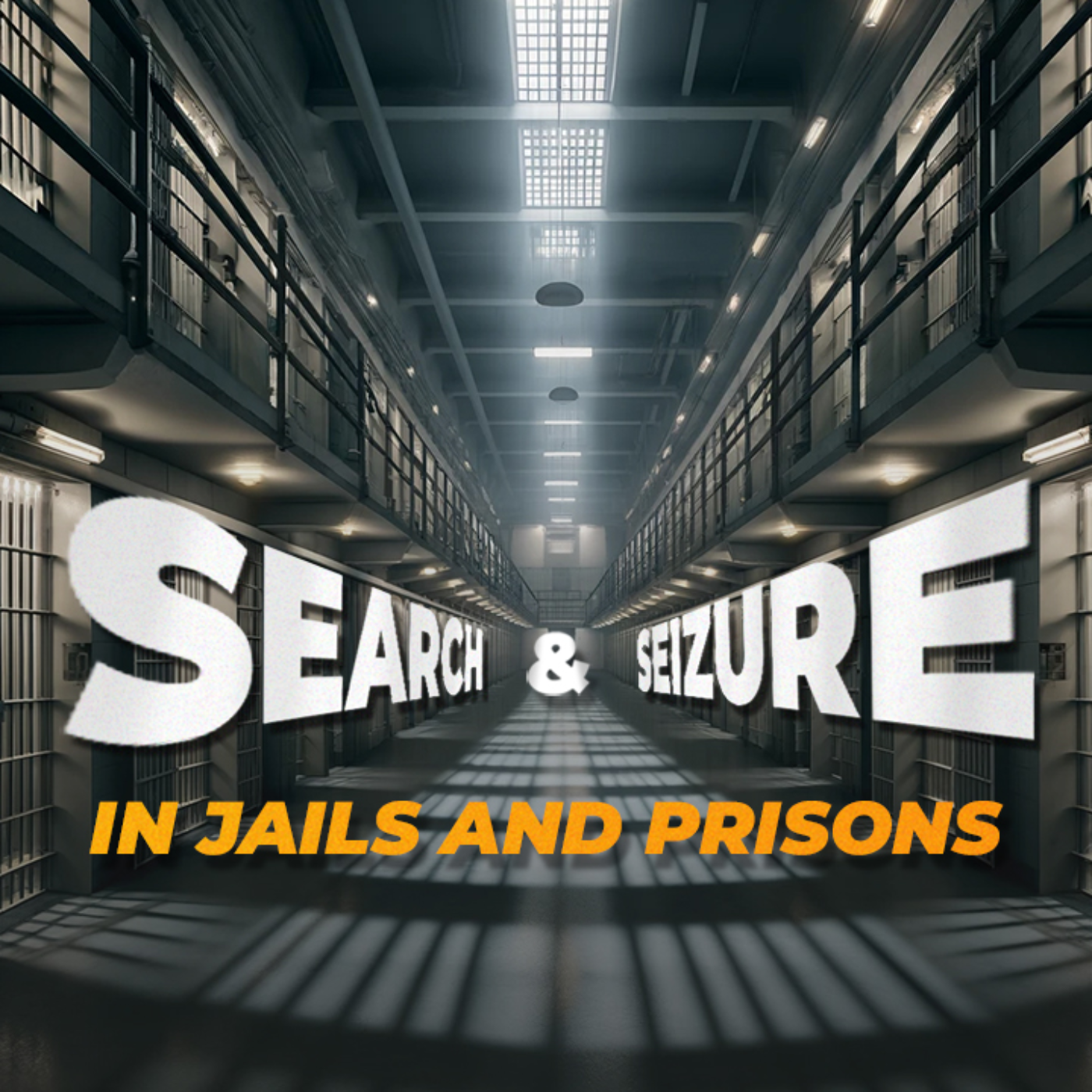 The Search & Seizure Show