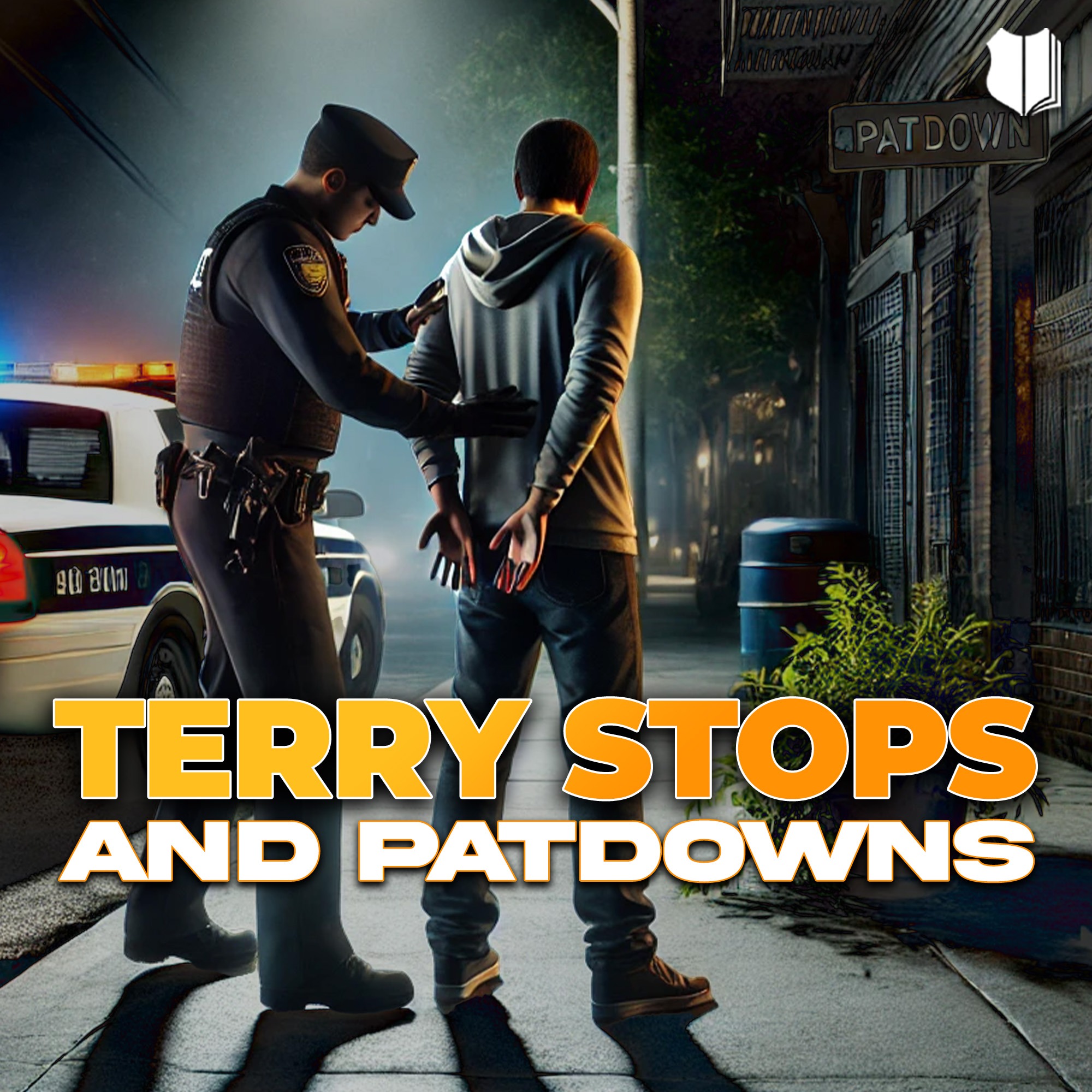 Terry Stops & Patdowns