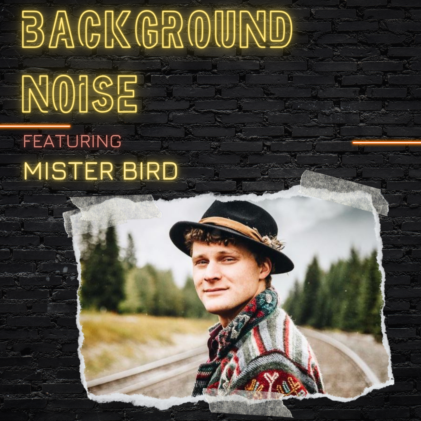 MISTER BIRD