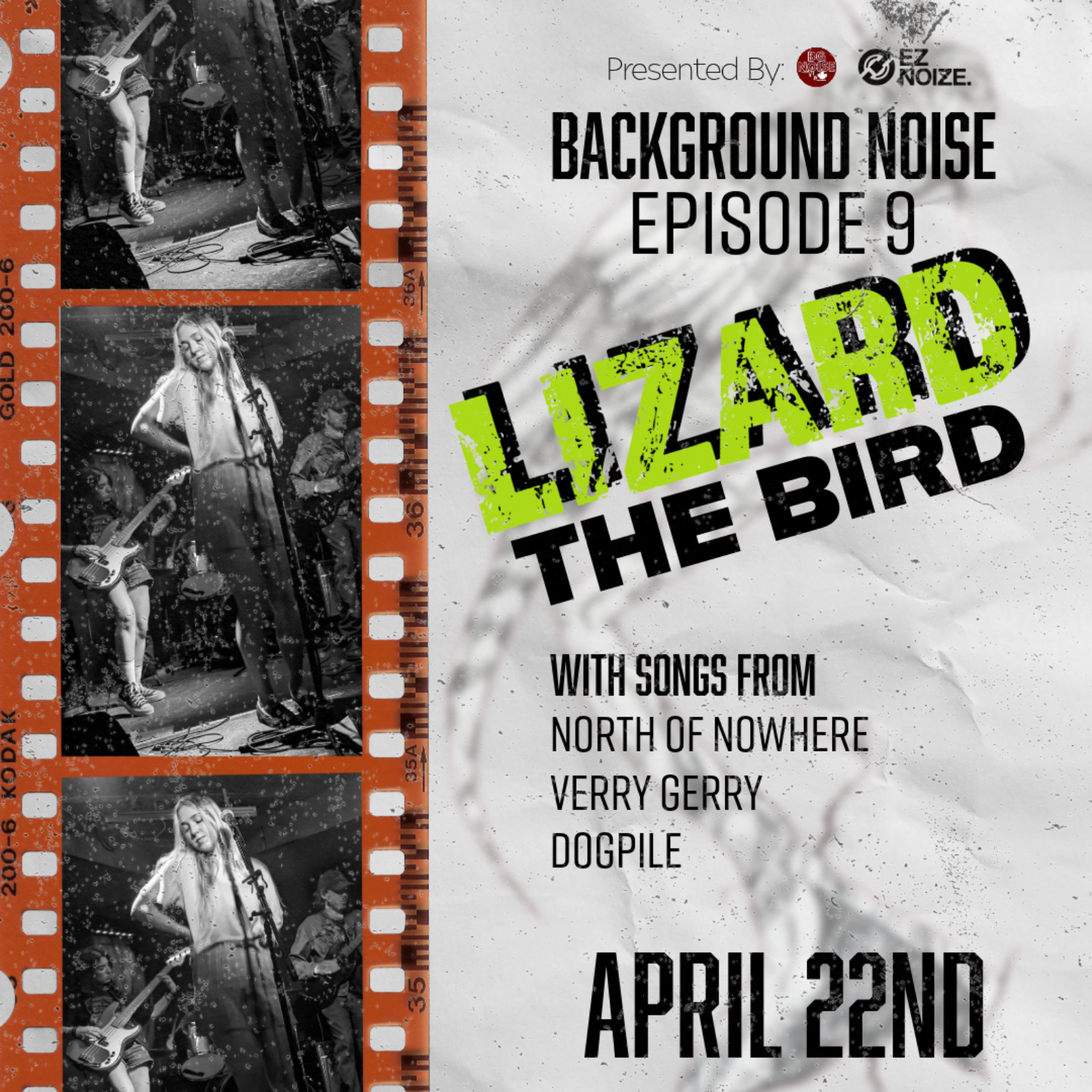 LIZARD THE BIRD episode artwork