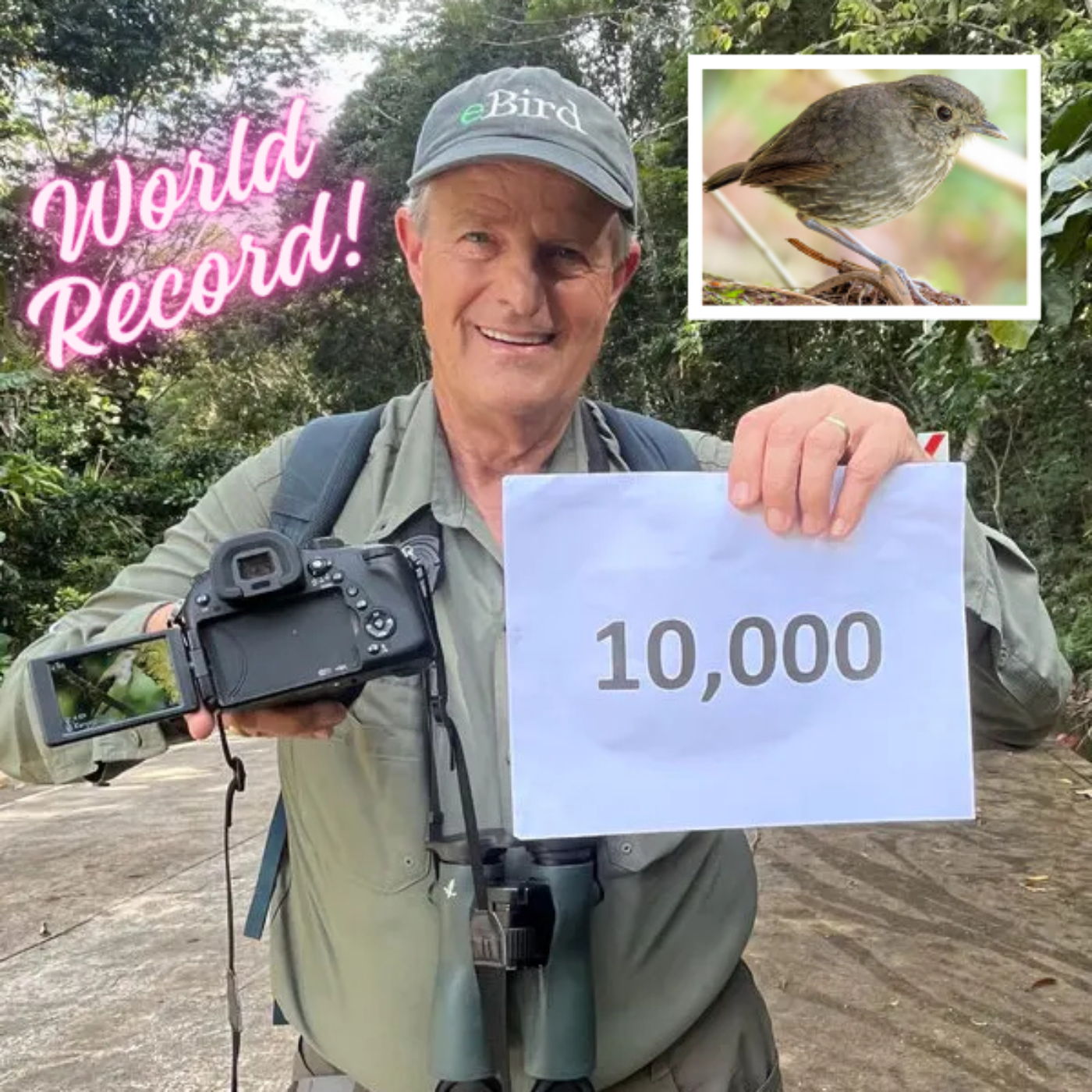 Back to Birding