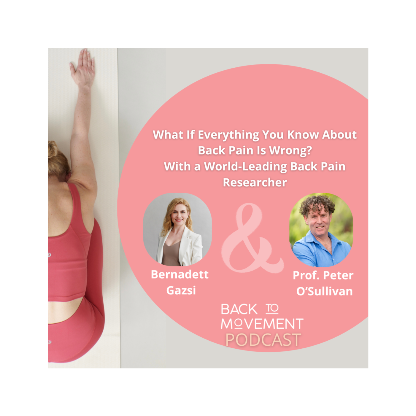 What If Everything You Know About Back Pain Is Wrong? With a World-Leading Back Pain Researcher episode artwork