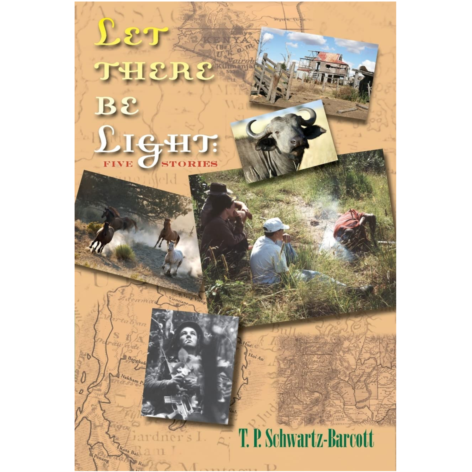 Denise Schwartz Hosts: Writers Read Us Stories They Love – Rich Vaden Reads "Bird of Providence," by T.P. Schwartz-Barcott episode artwork