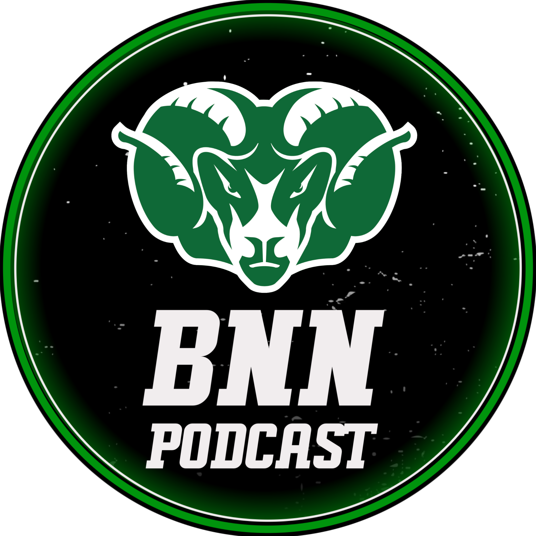 Badin News Network (BNN)
