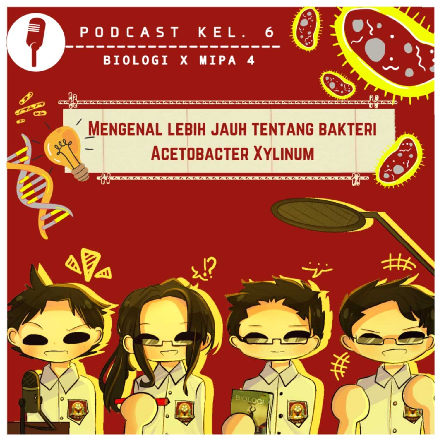 Mengenal lebih jauh tentang bakteri Acetobacter xylinum ( X MIPA 4 Kelompok 6)