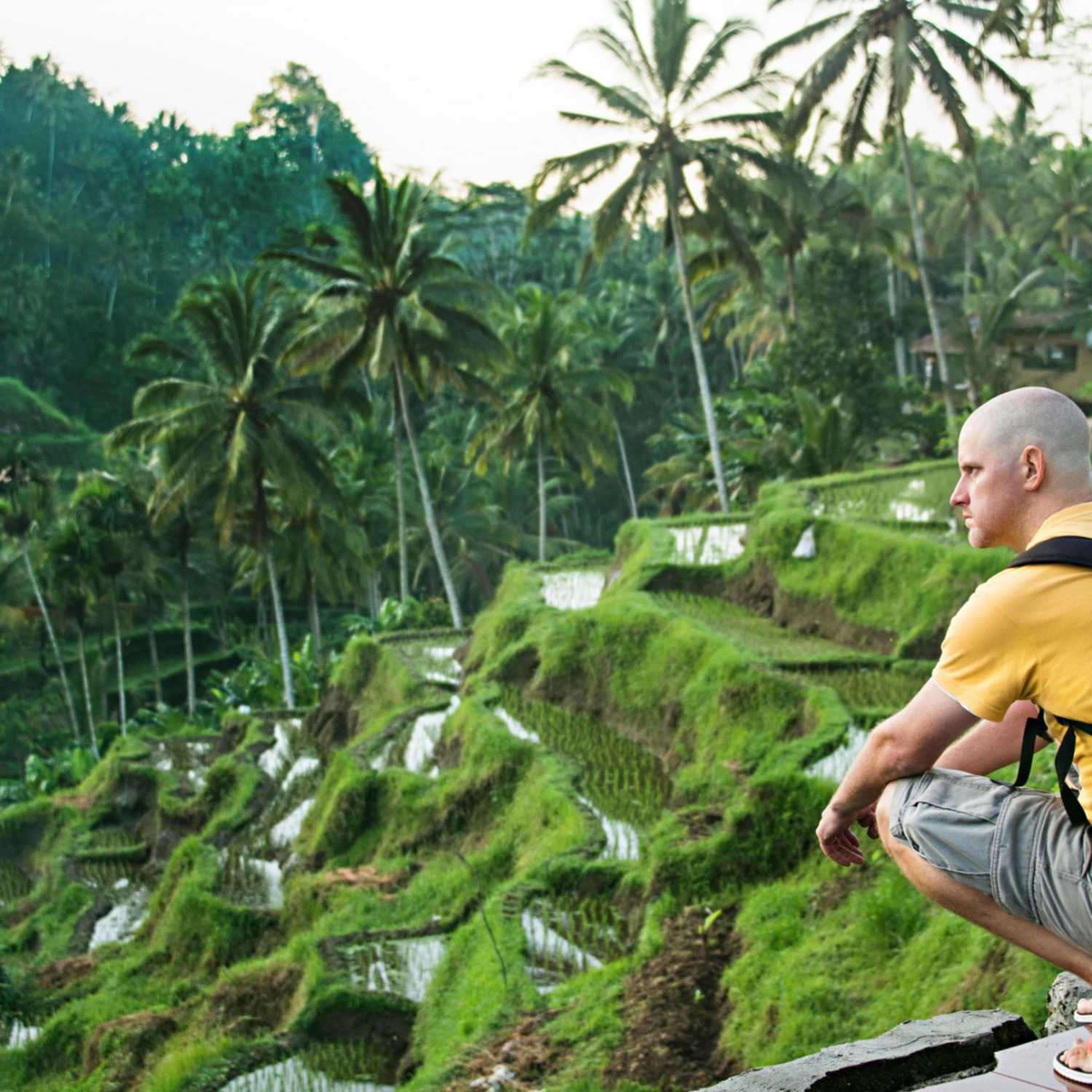 Your Ultimate Guide to Buying and Renting Land in Bali: A Step-by-Step Approach podcast artwork